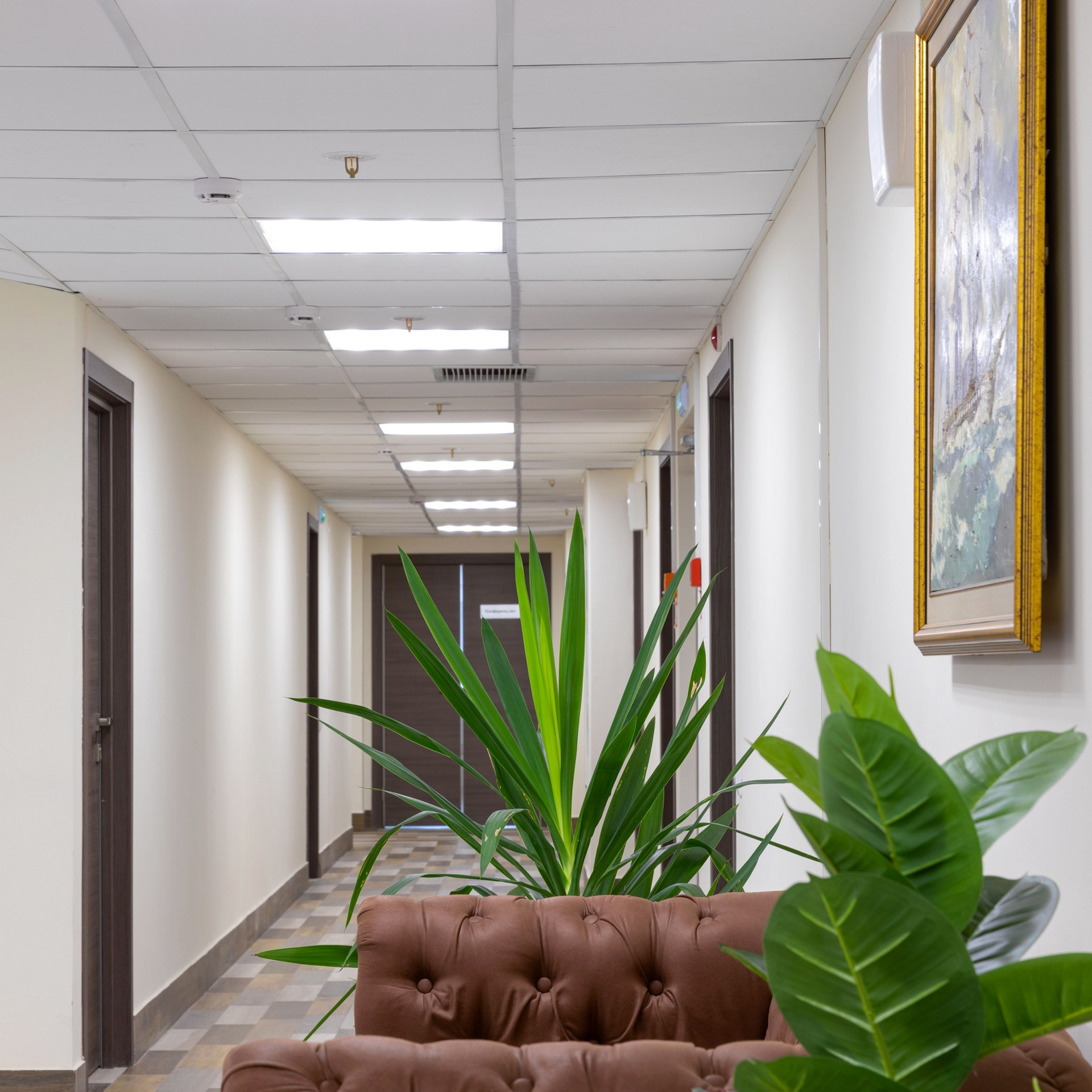 Гостиница Элкус