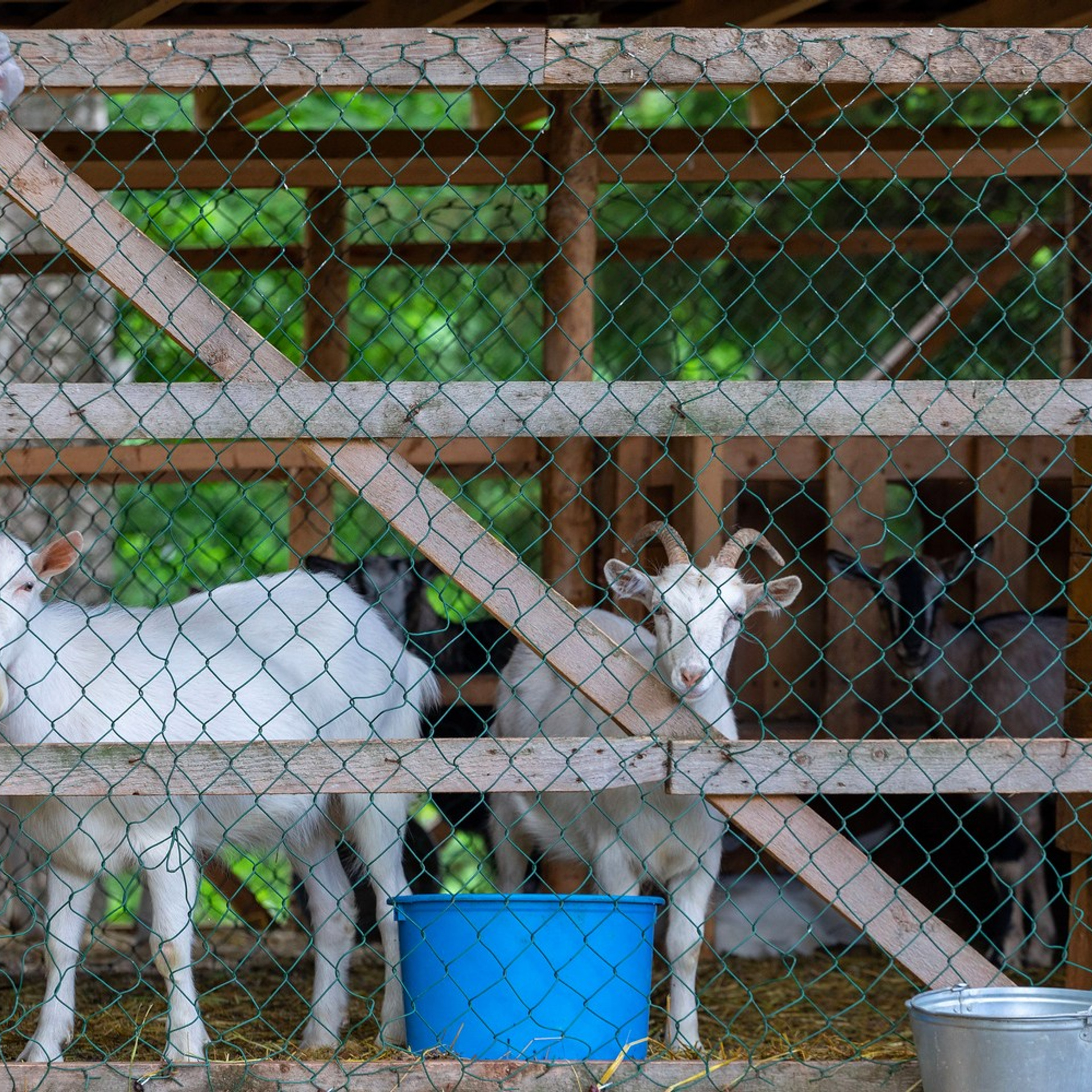 Усадьба в Лосево. Интерьерный фотограф в Санкт-Петербурге, Ленинградской области и в Москве Николай Щербаков