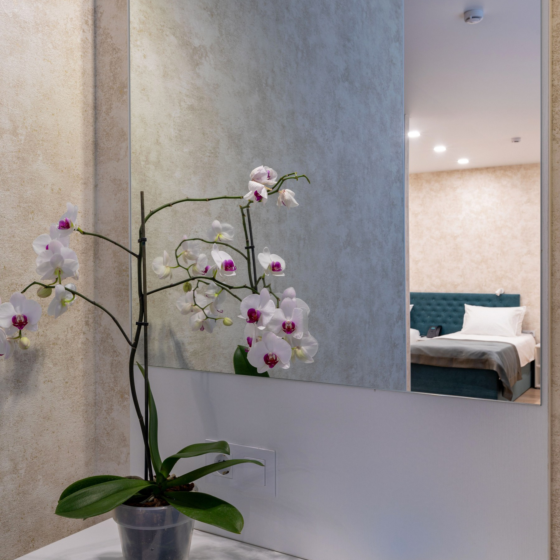 Гостиница Элкус. Интерьерный фотограф в Санкт-Петербурге, Ленинградской области и в Москве Николай Щербаков