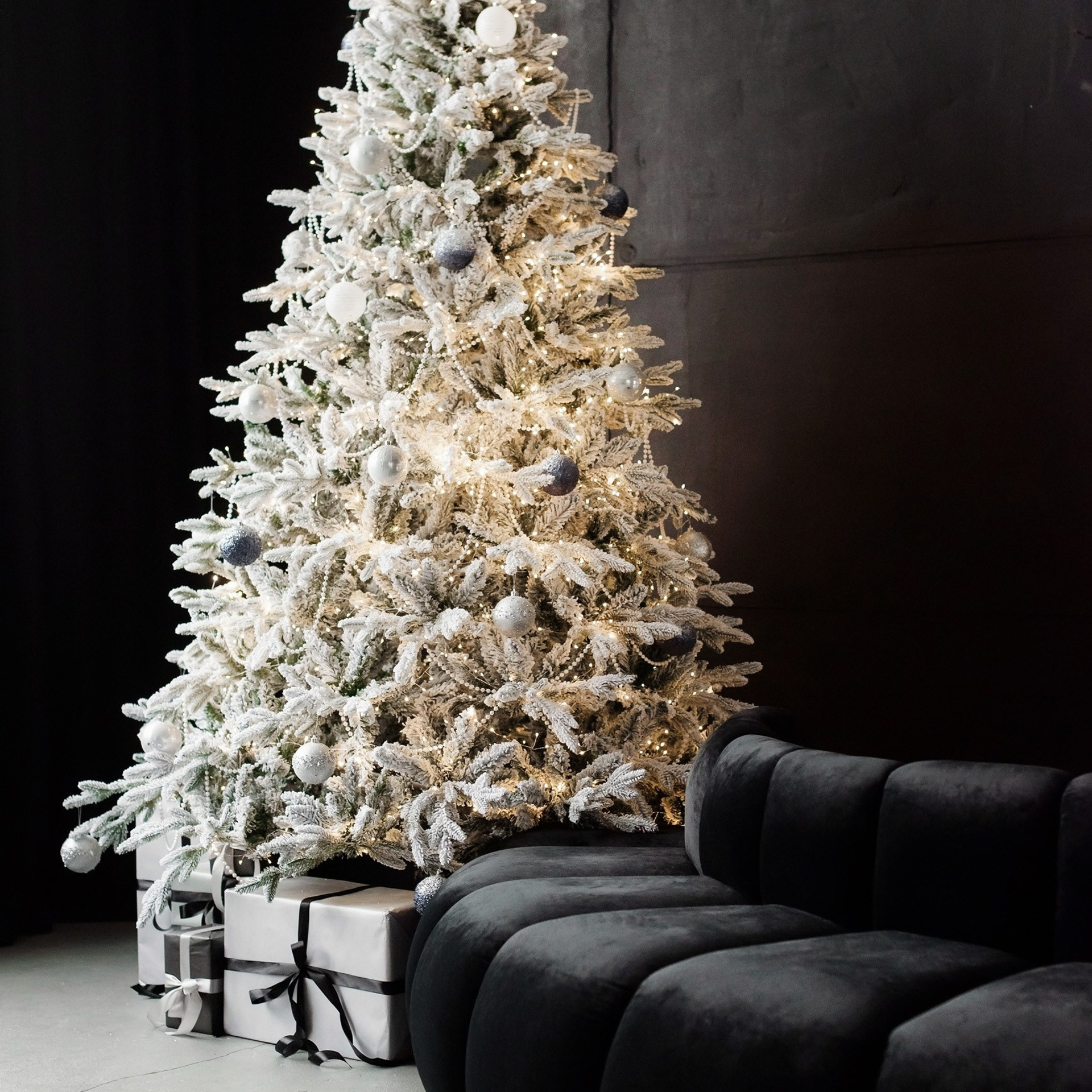 Пастила-зал Arctic (Станке-Димитрова 54а)