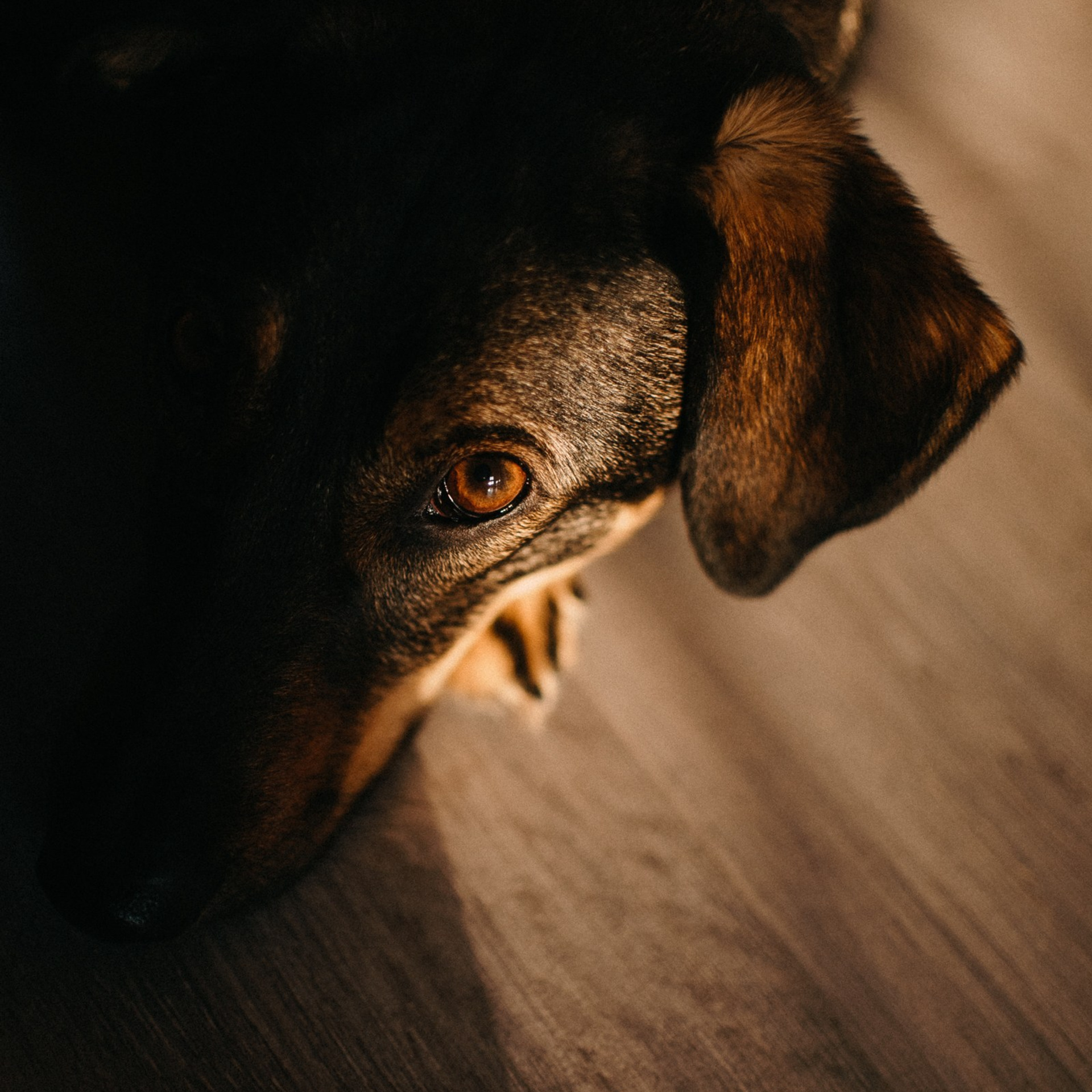 Photos from different sessions