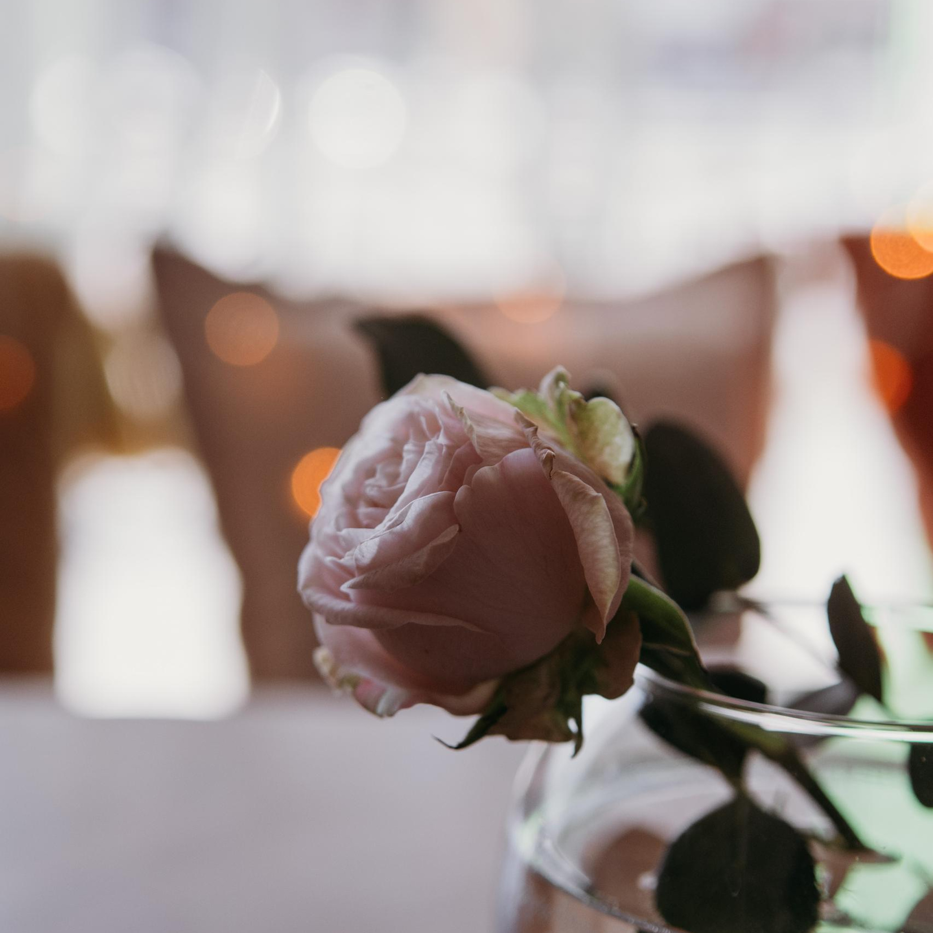 ОТЗЫВЫ. Семейный фотограф в Екатеринбурге Всеволод и Марина Пономаревы