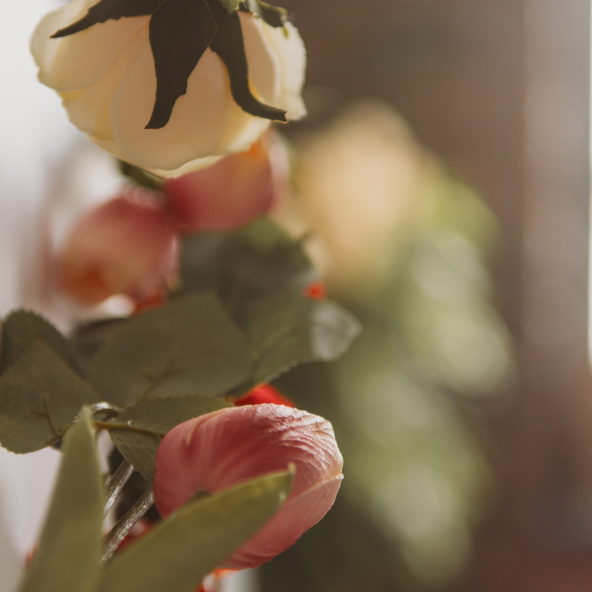 ОТЗЫВЫ. Семейный фотограф в Екатеринбурге Всеволод и Марина Пономаревы