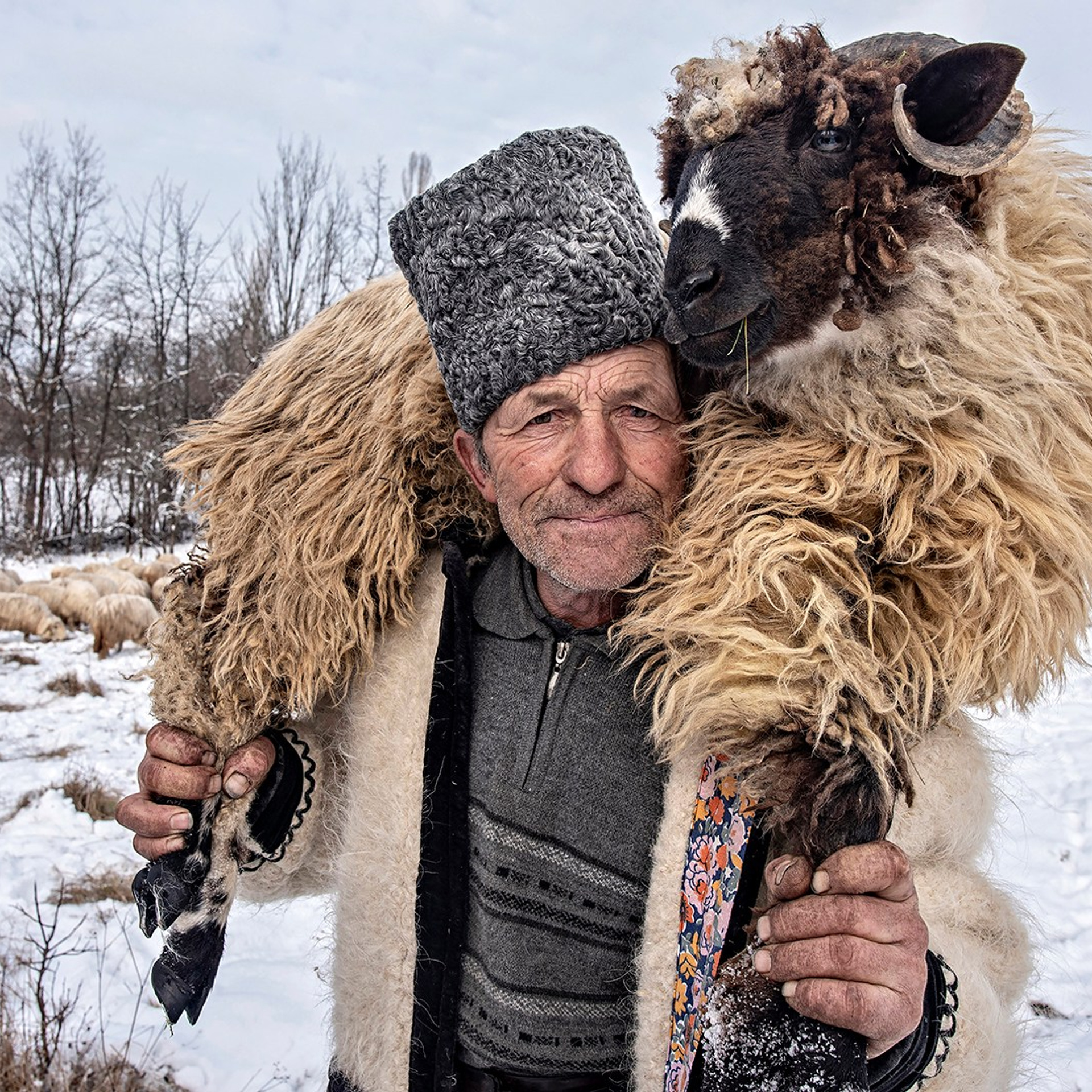 Номинации. Art Portrait