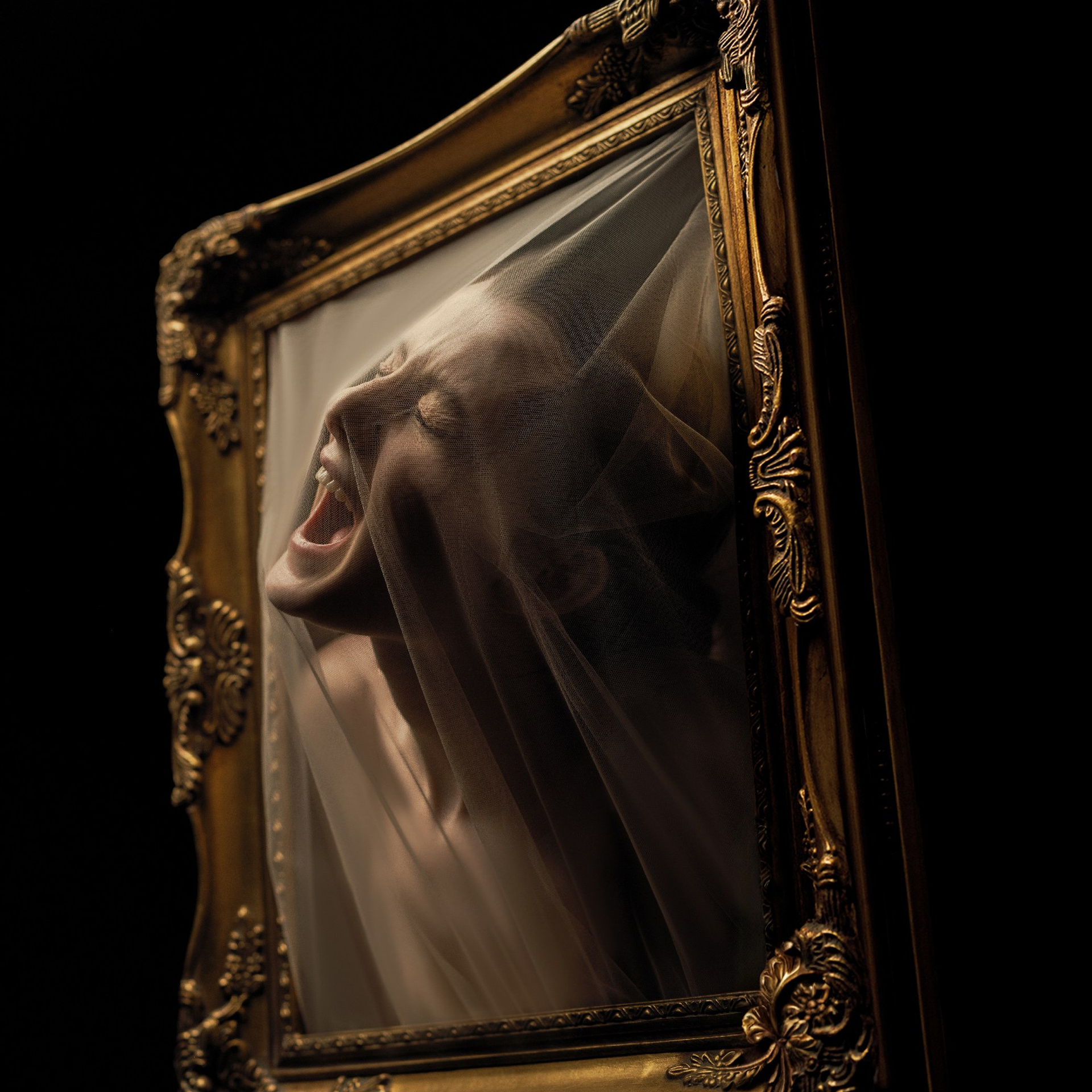 Номинации. Art Portrait