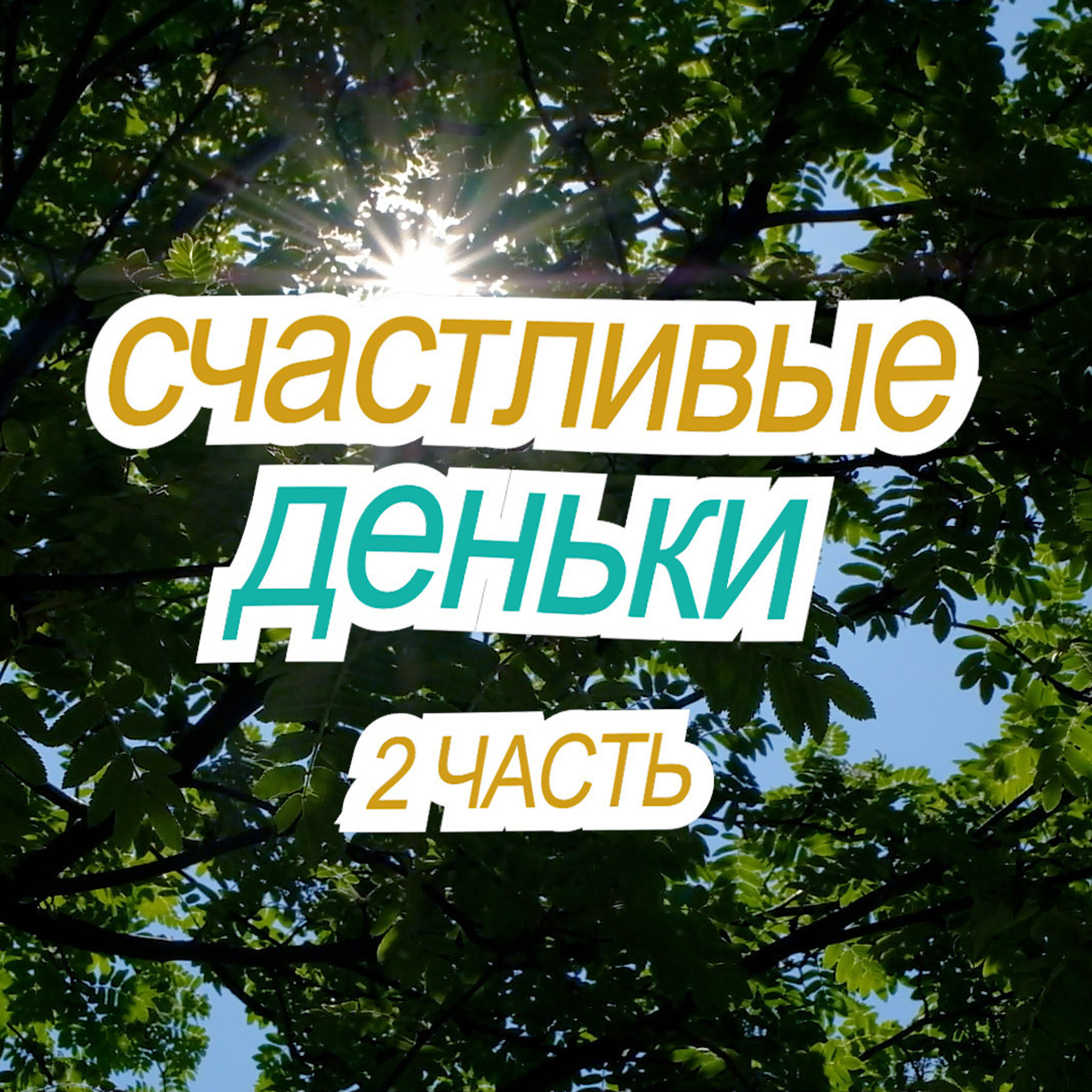 Видеосъемка отзывы. Видеосъемка в Барнауле