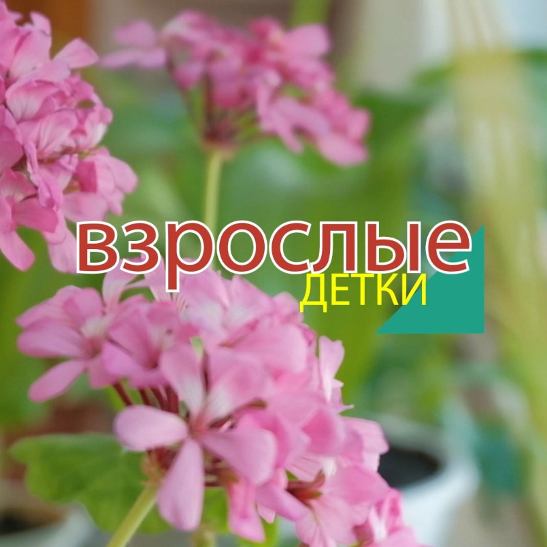 Видеосъемка отзывы. Видеосъемка в Барнауле