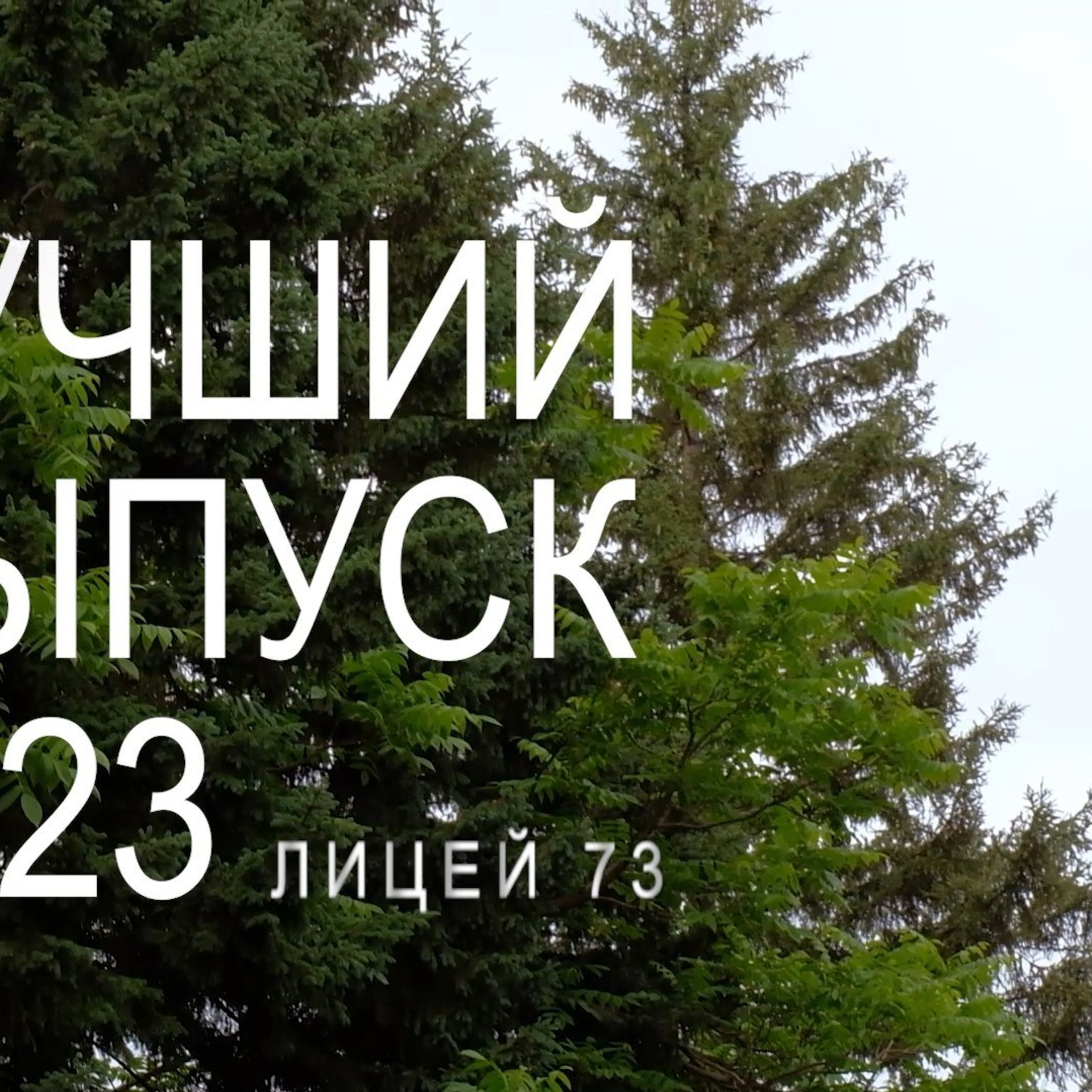 Видеосъемка отзывы. Видеосъемка в Барнауле