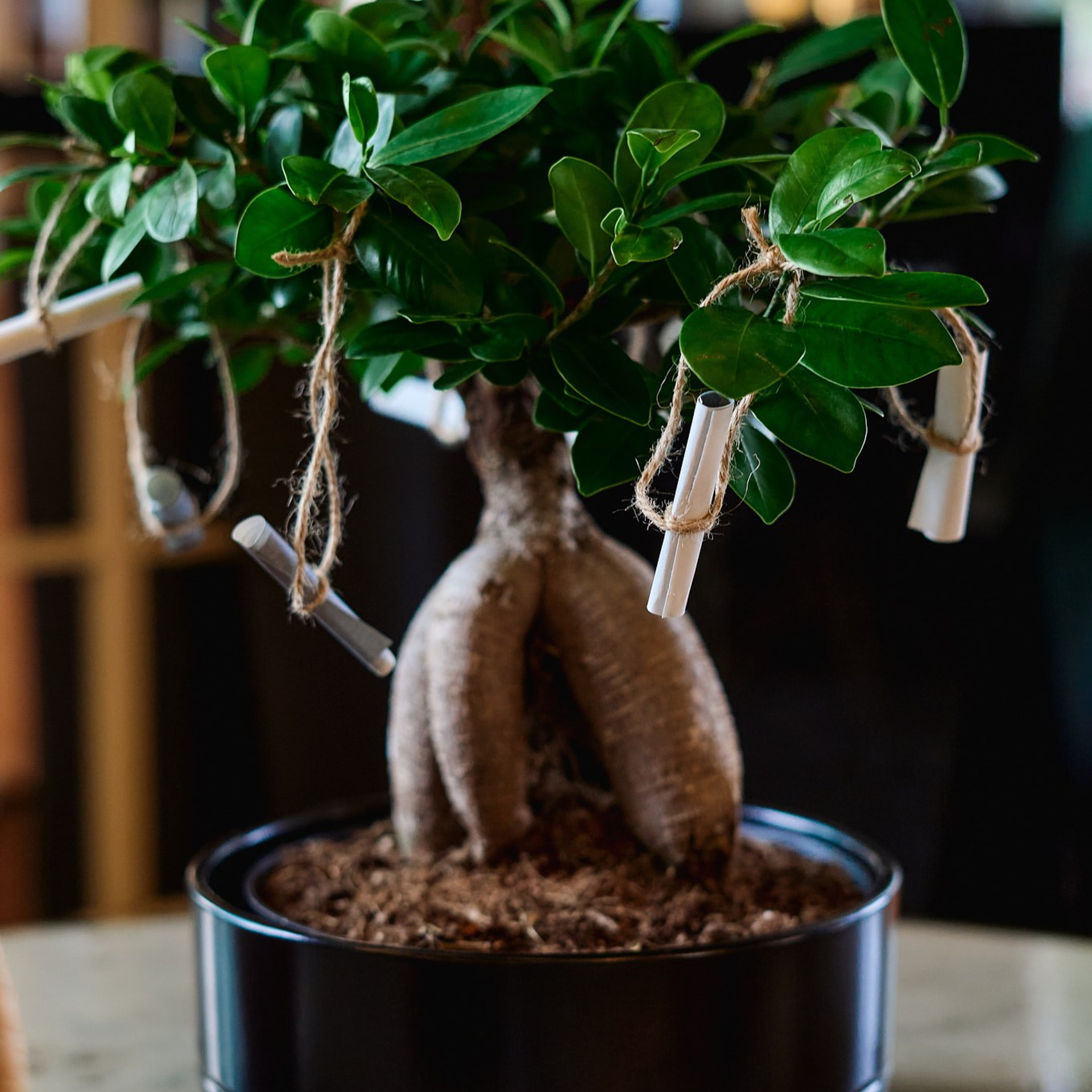 Евгений и Ольга. Профессиональный фотограф в Екатеринбурге Константин Зарипов