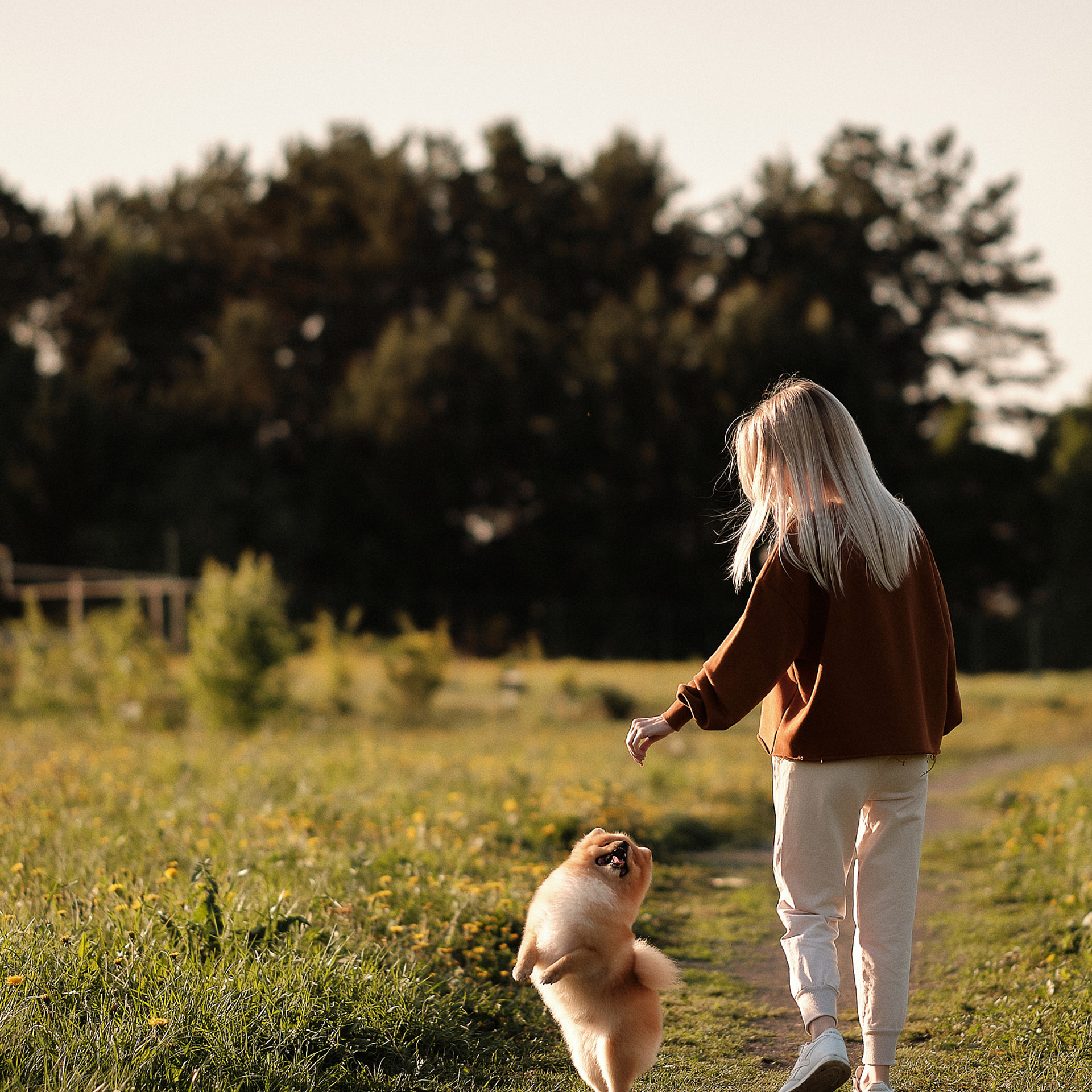 ДАМА с СОБАЧКОЙ. Профессиональный фотограф в Екатеринбурге Константин Зарипов