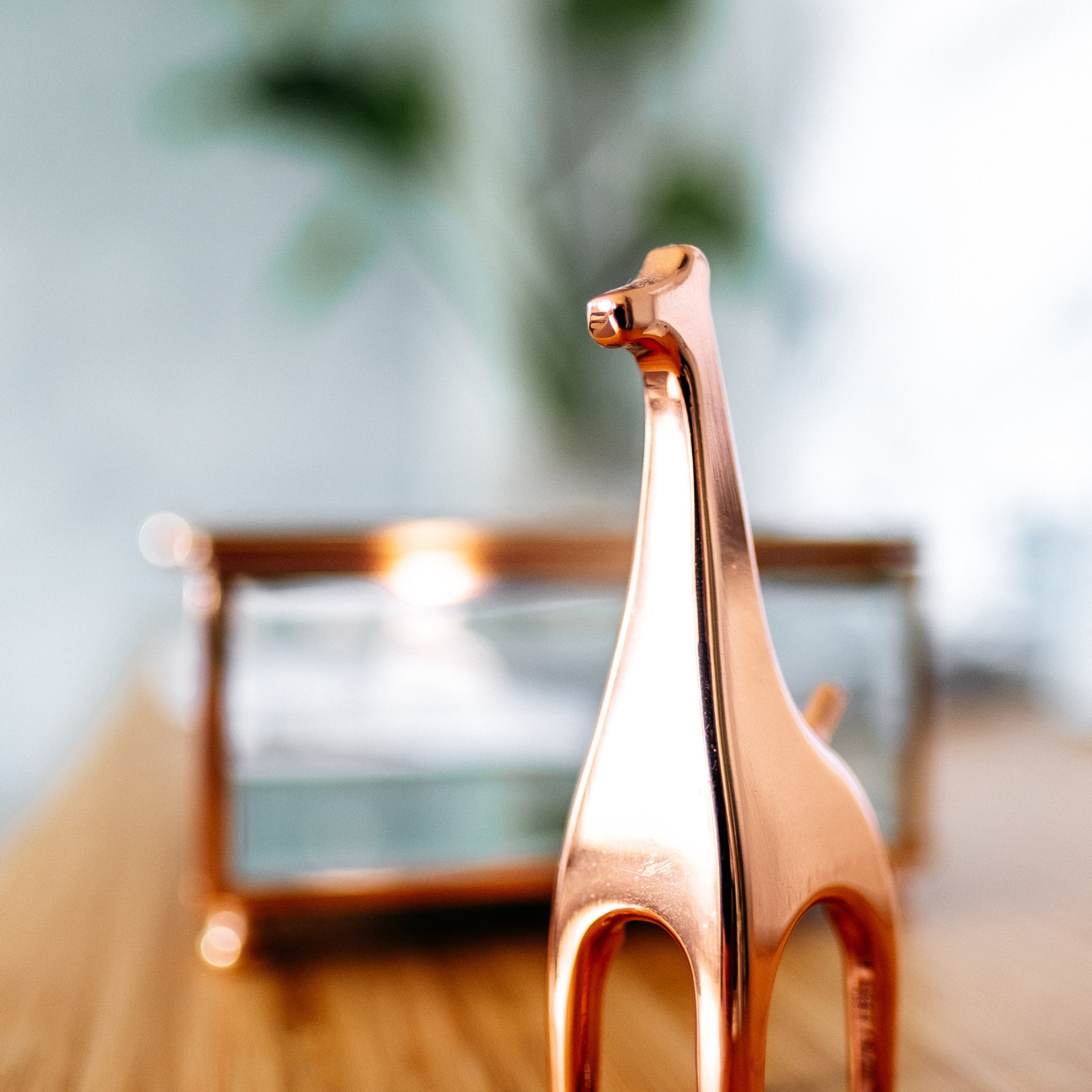 Музыка нас связала. Профессиональный фотограф в Екатеринбурге Константин Зарипов