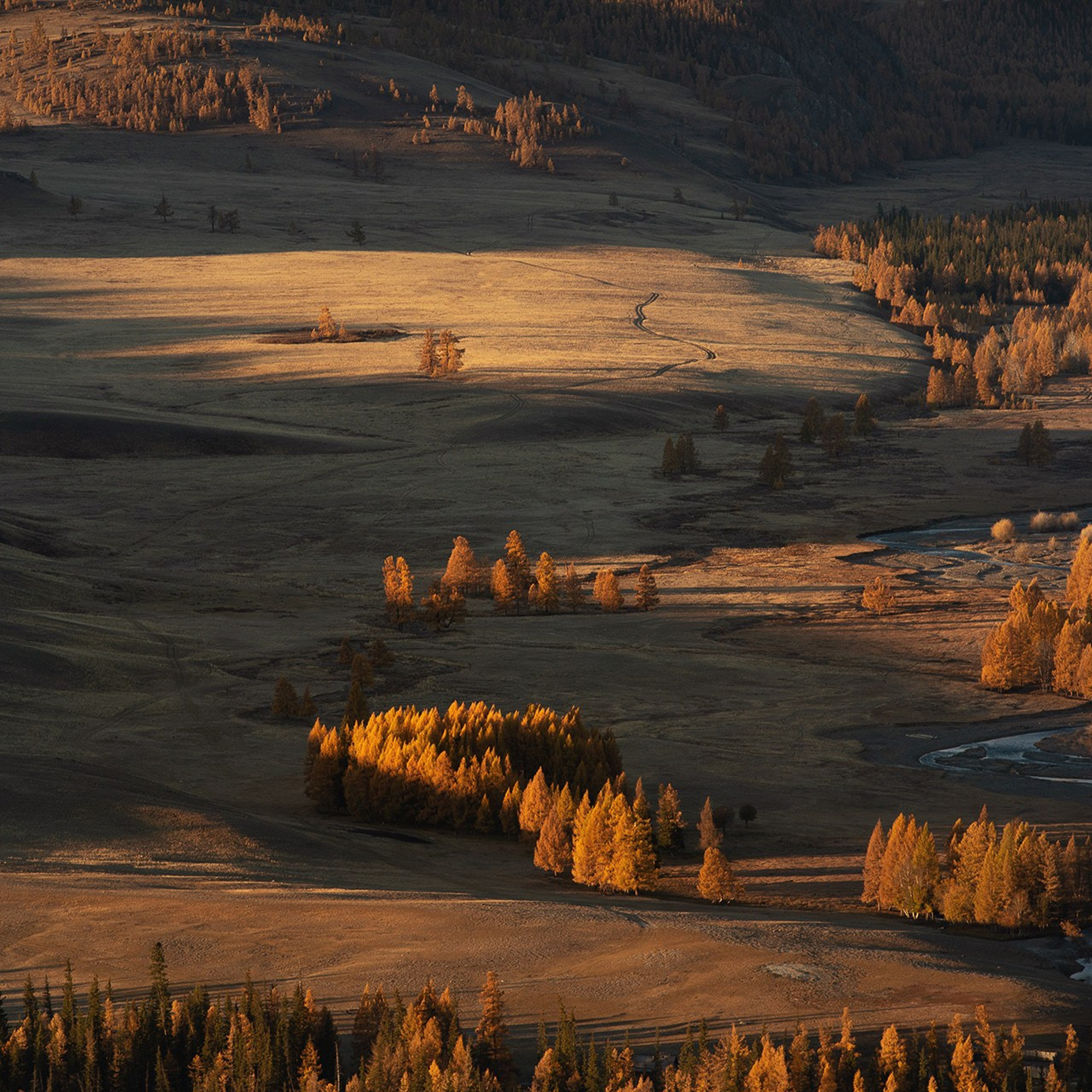 Фестиваль Беркутчи — Осень на Алтае. Фотограф Константин Шамин
