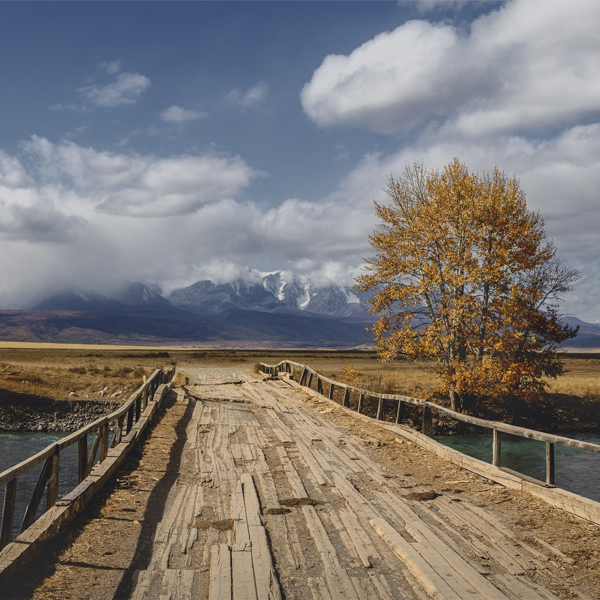 Фестиваль Беркутчи — Осень на Алтае. Фотограф Константин Шамин