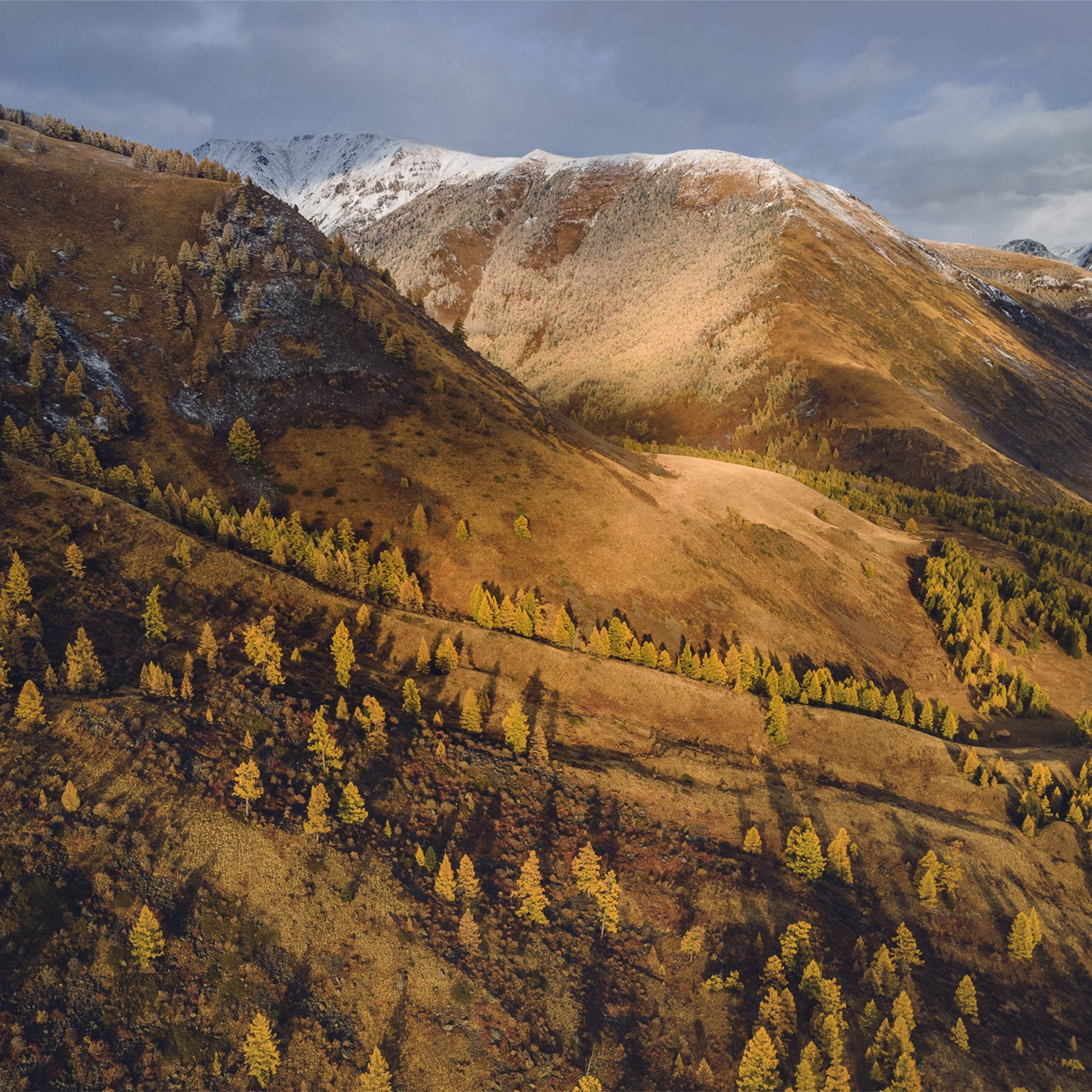 Фестиваль Беркутчи — Осень на Алтае. Фотограф Константин Шамин