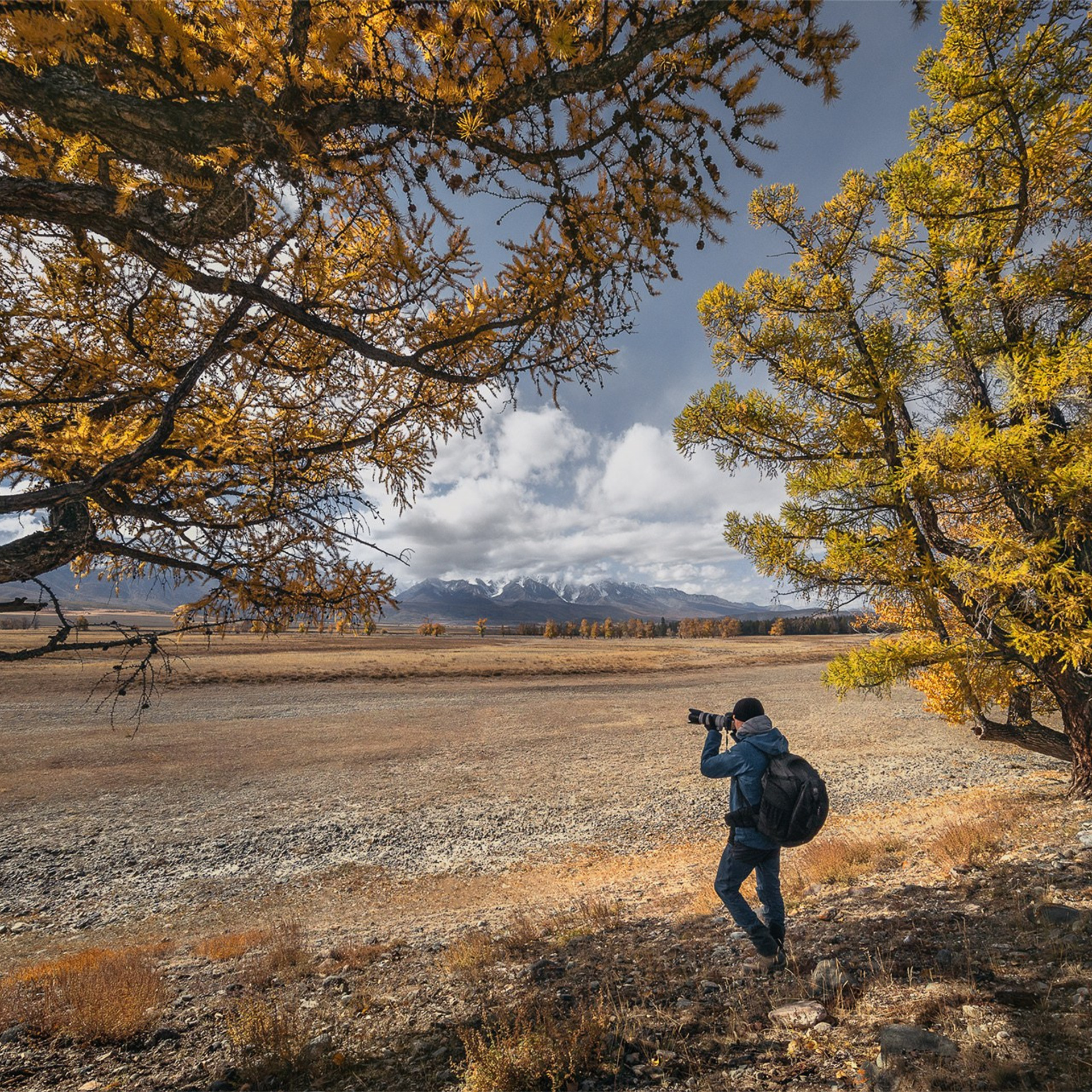 Фестиваль Беркутчи — Осень на Алтае. Фотограф Константин Шамин