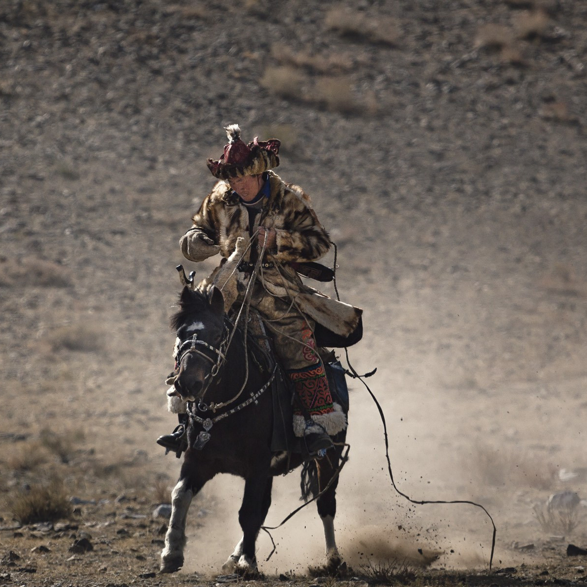 Фестиваль Беркутчи — Осень на Алтае. Фотограф Константин Шамин