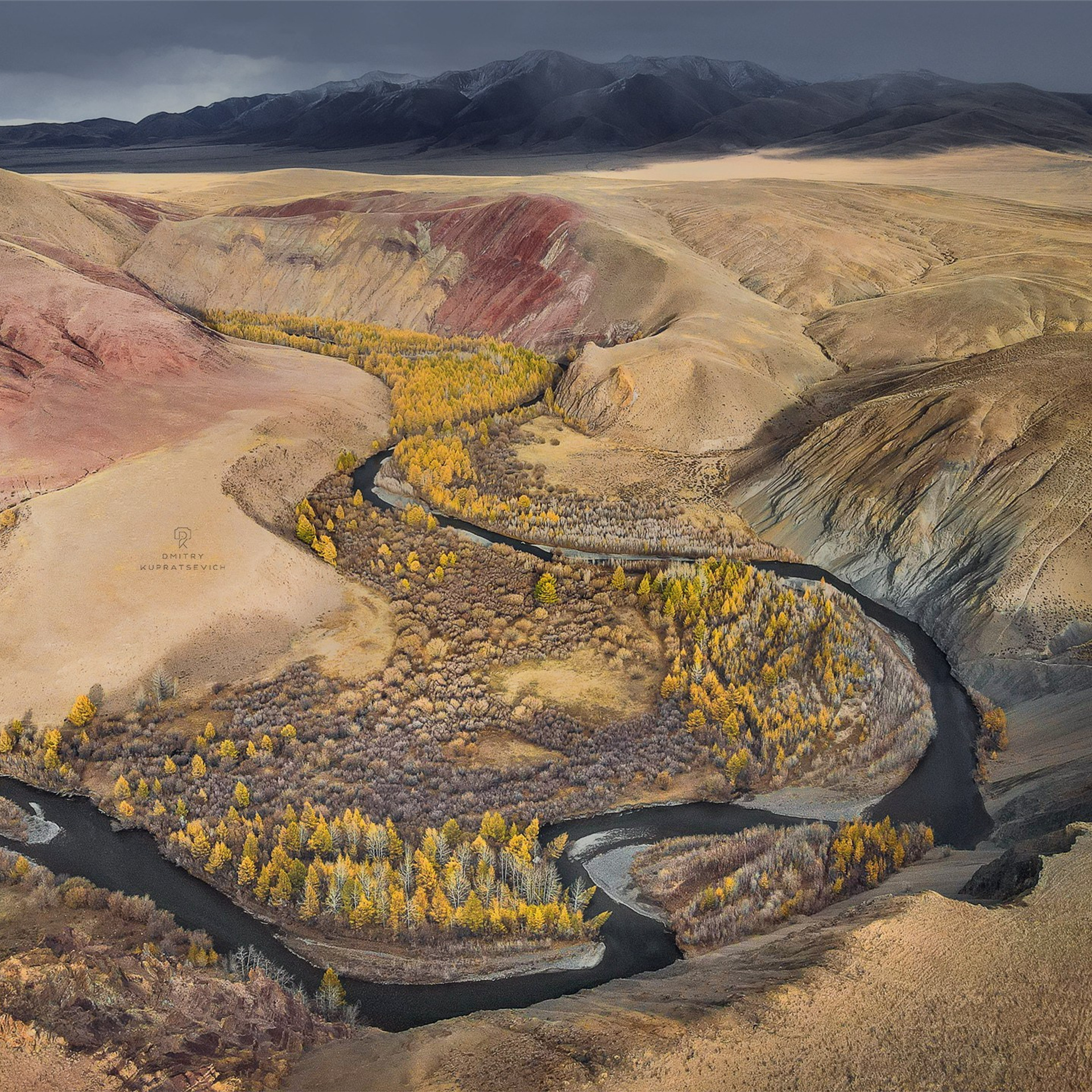 Фестиваль Беркутчи — Осень на Алтае. Фотограф Константин Шамин