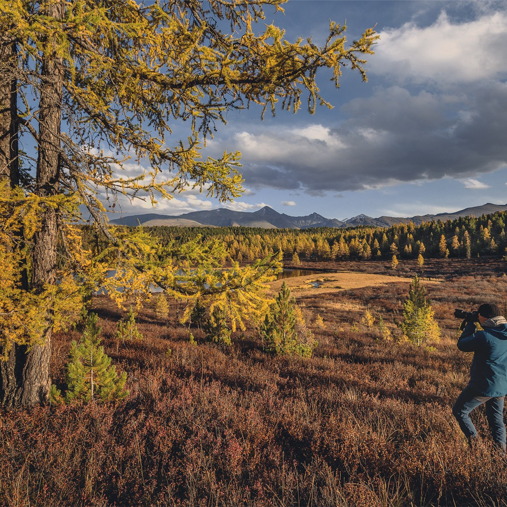 Фестиваль Беркутчи — Осень на Алтае. Фотограф Константин Шамин