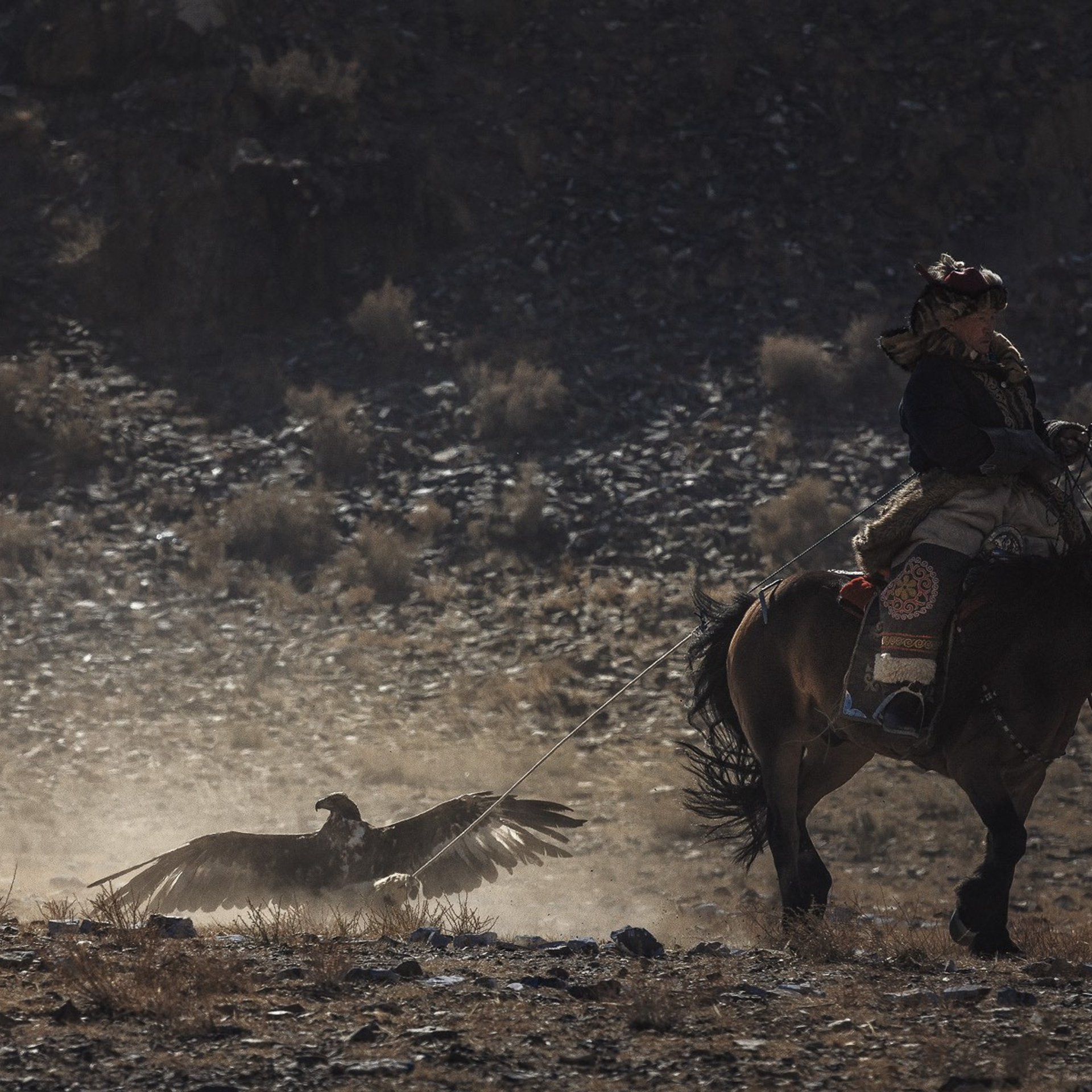 Фестиваль Беркутчи — Осень на Алтае. Фотограф Константин Шамин