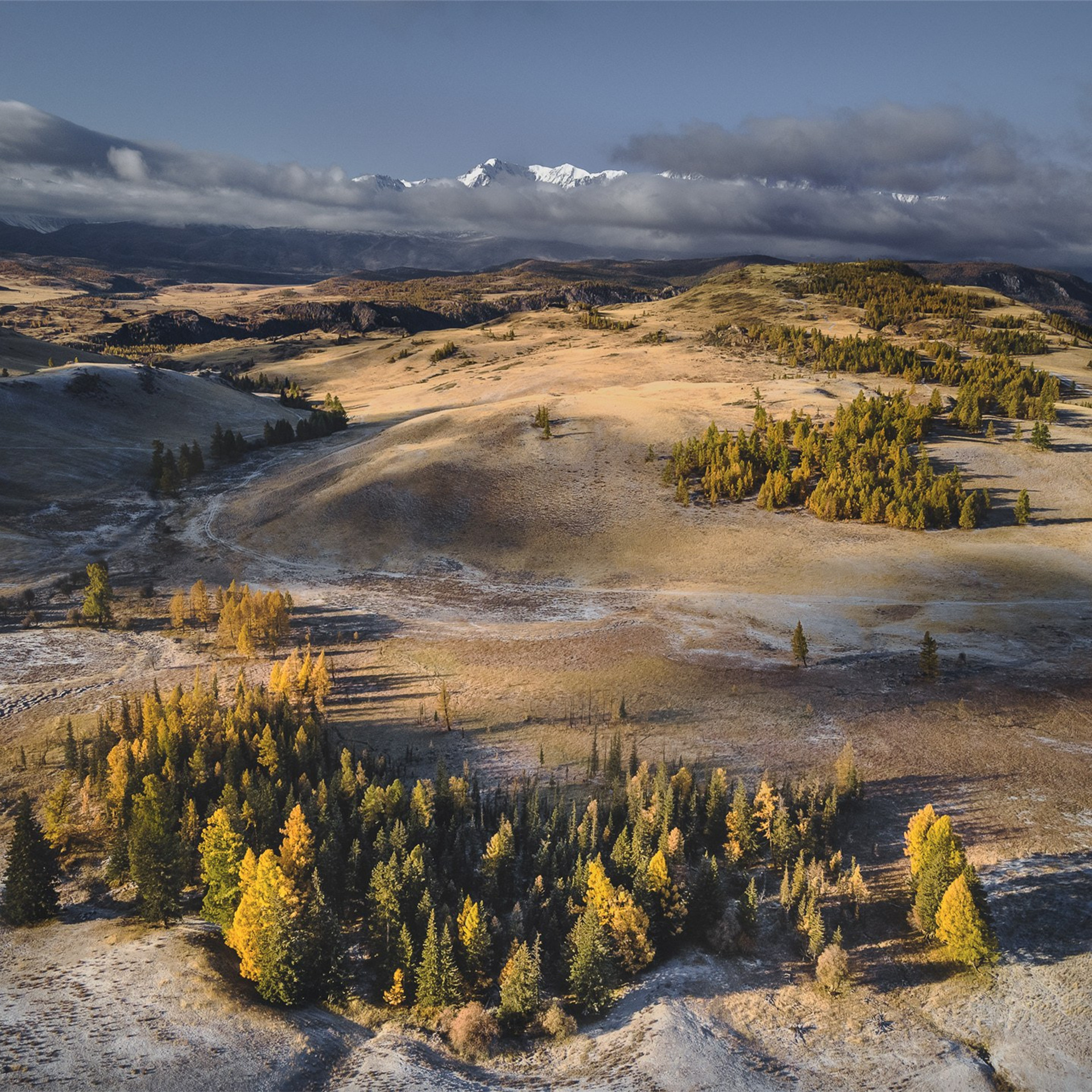 Фестиваль Беркутчи — Осень на Алтае. Фотограф Константин Шамин