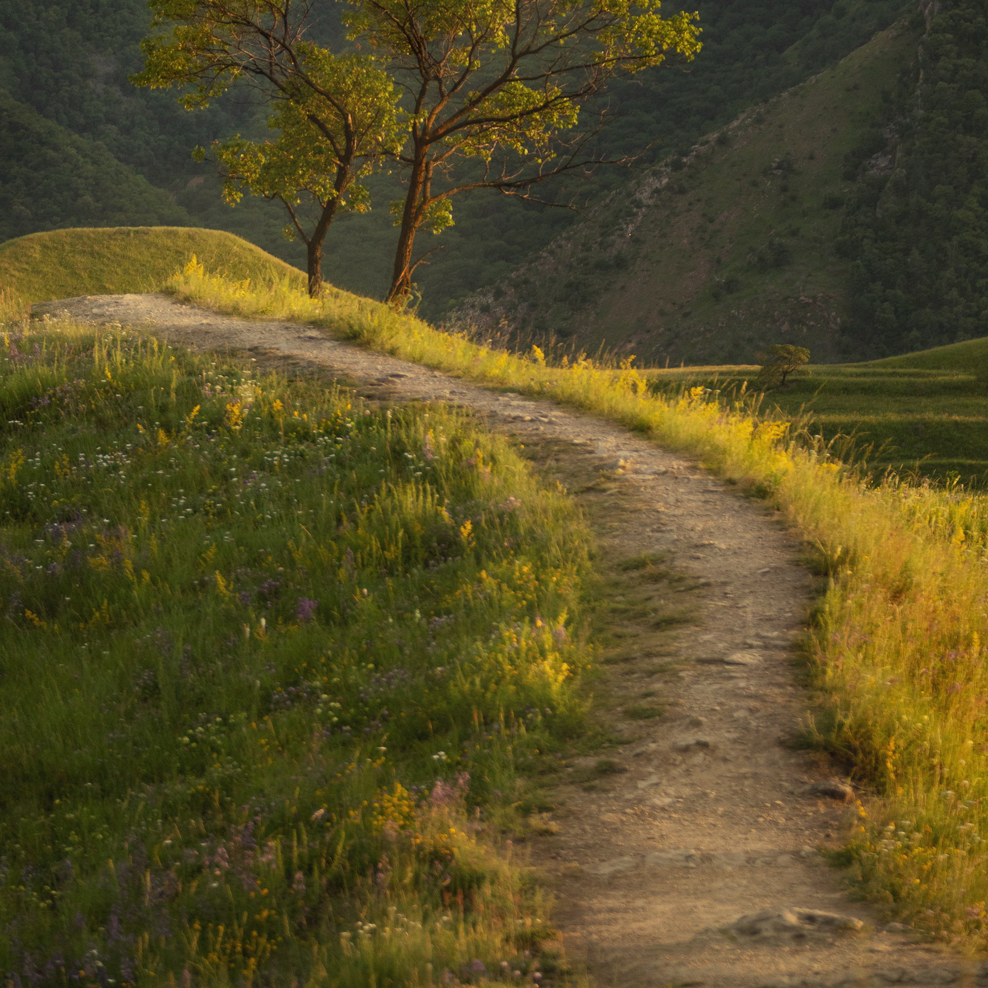 Фототур в Дагестан (31.10.2022 — 06.11.2022). Фотограф Константин Шамин