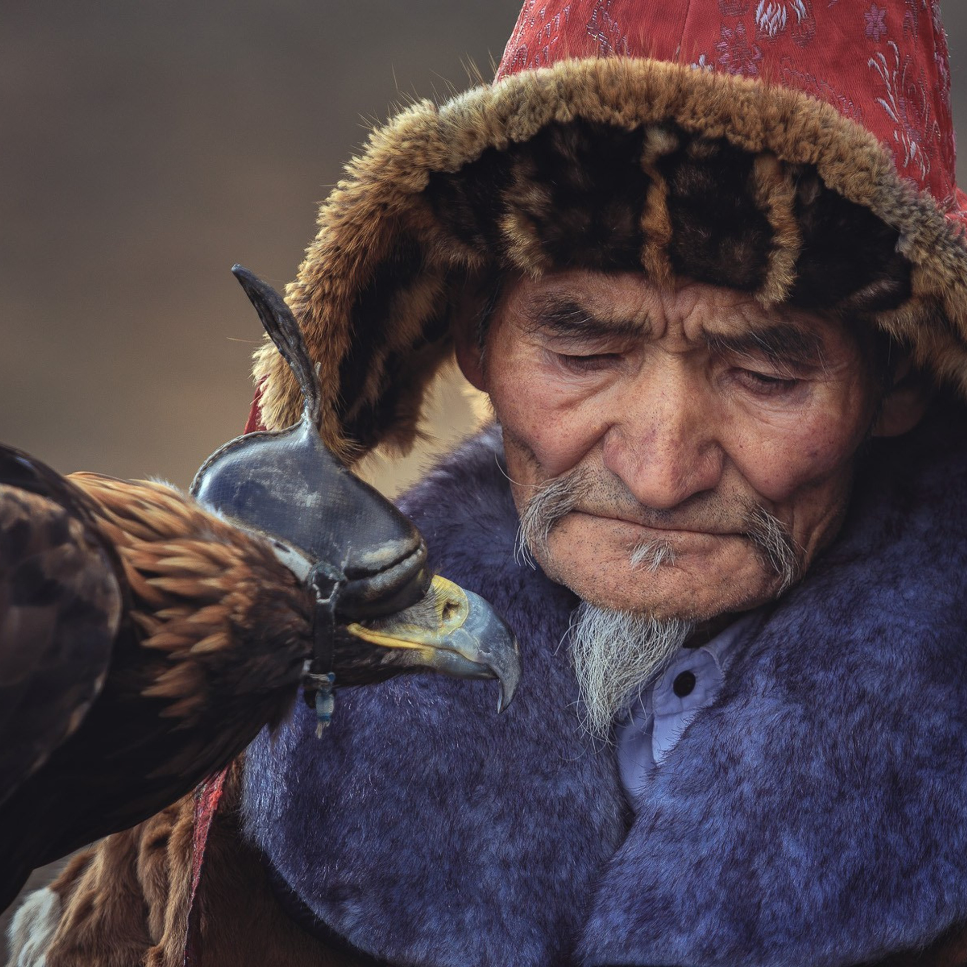 Фестиваль Беркутчи — Осень на Алтае. Фотограф Константин Шамин