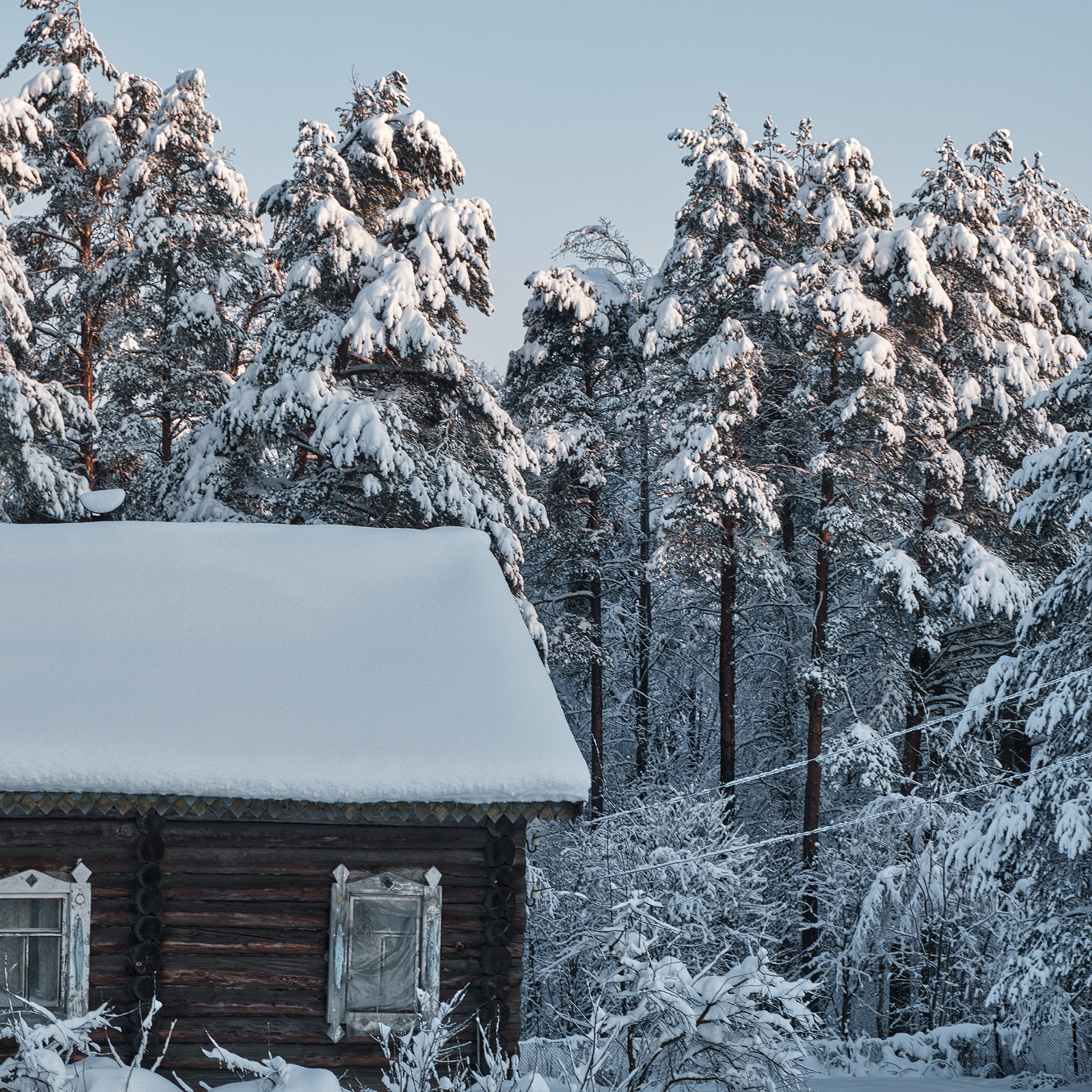 Фототур «Зимние краски Кольского» (25.02.23 — 04.03.23). Фотограф Константин Шамин