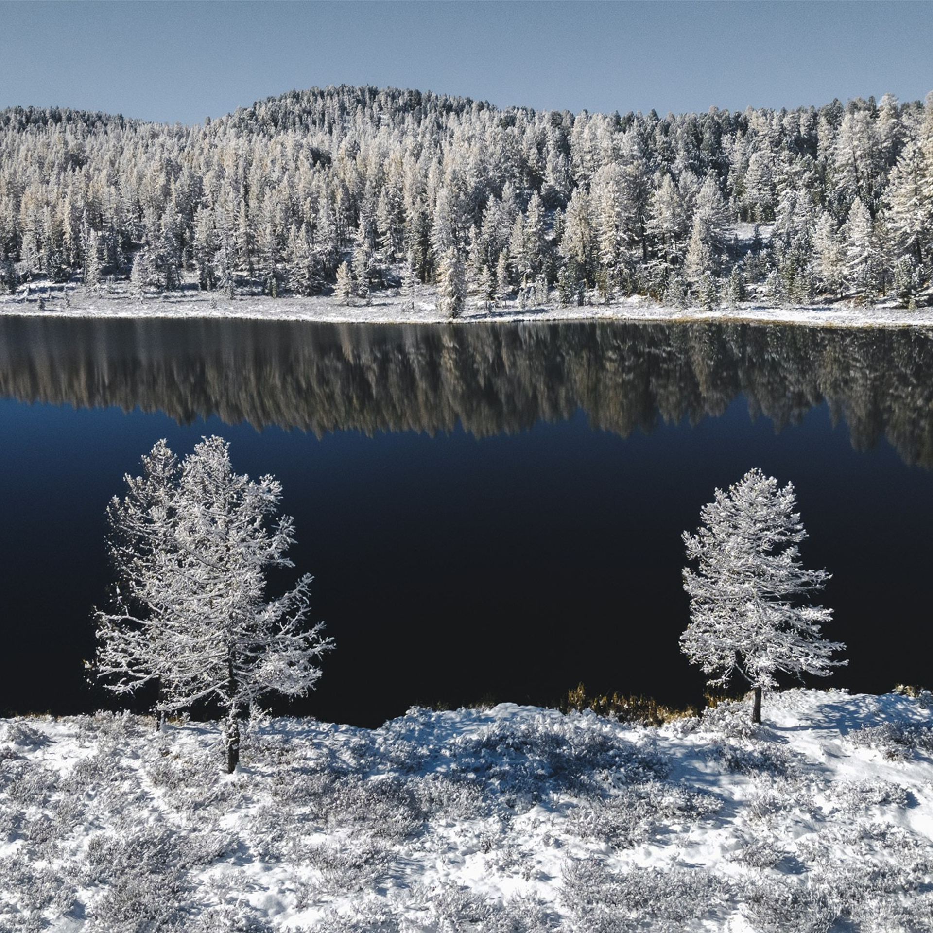 Фестиваль Беркутчи — Осень на Алтае. Фотограф Константин Шамин