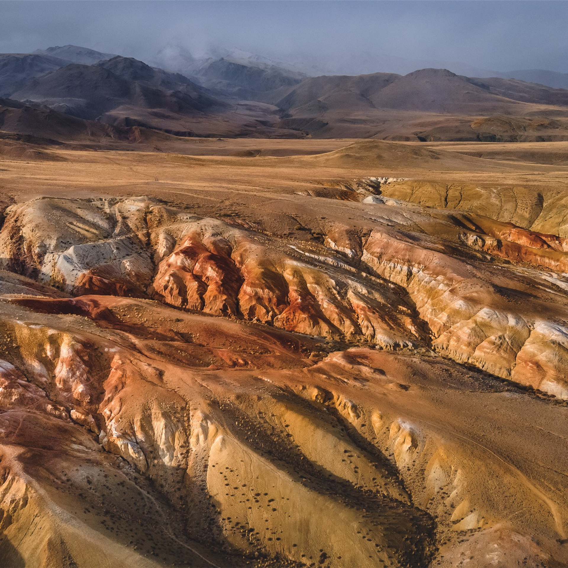 Фестиваль Беркутчи — Осень на Алтае. Фотограф Константин Шамин