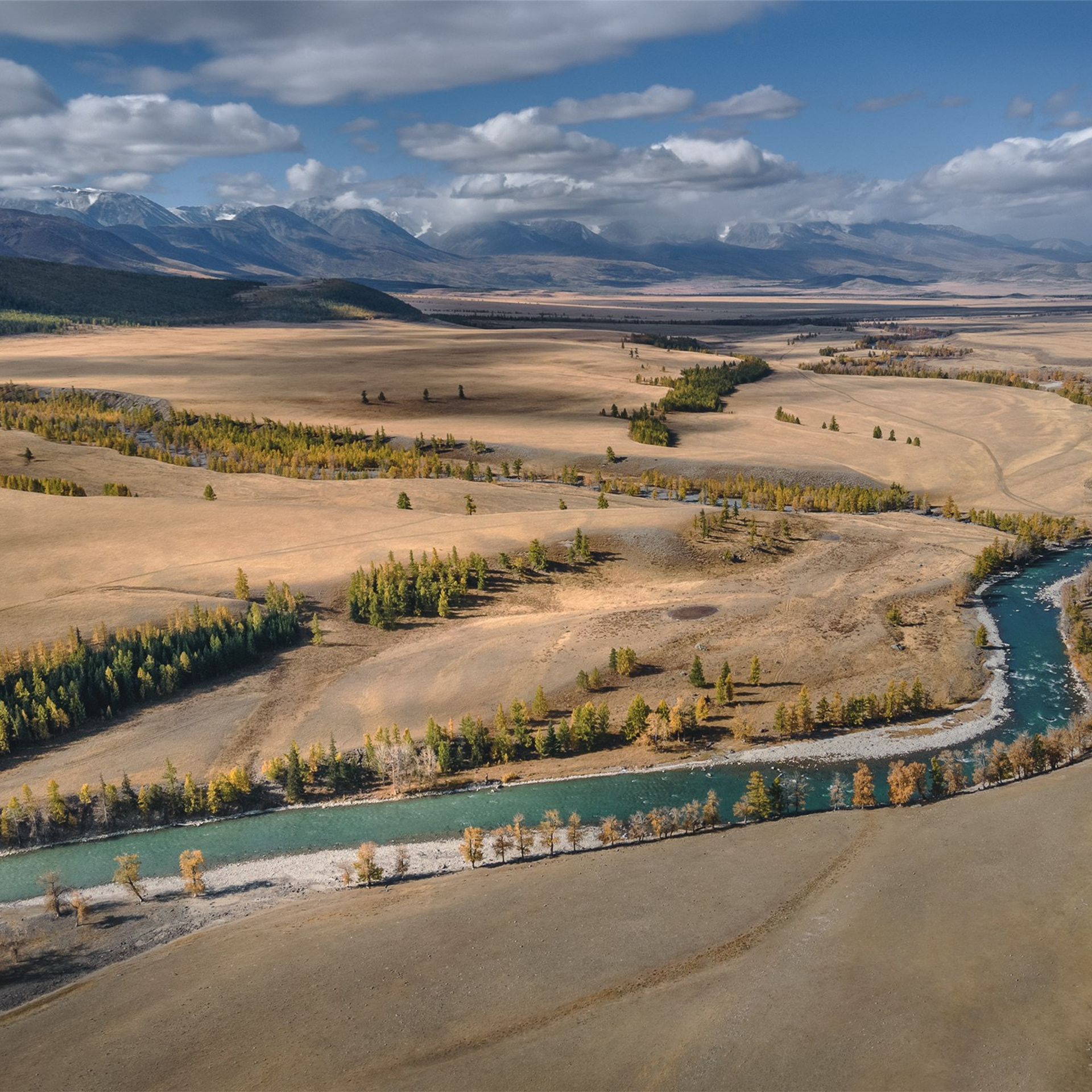 Фестиваль Беркутчи — Осень на Алтае. Фотограф Константин Шамин