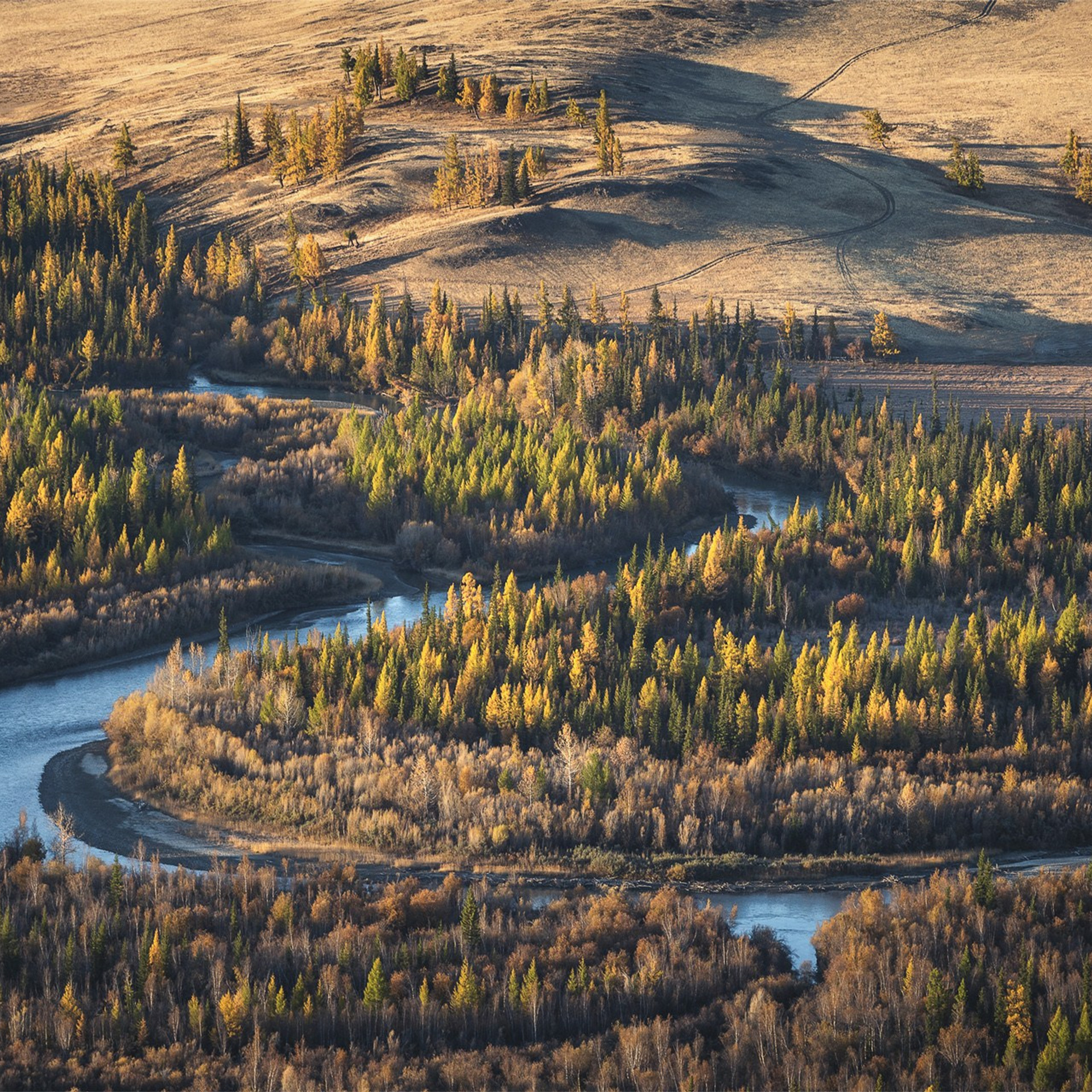 Фестиваль Беркутчи — Осень на Алтае. Фотограф Константин Шамин