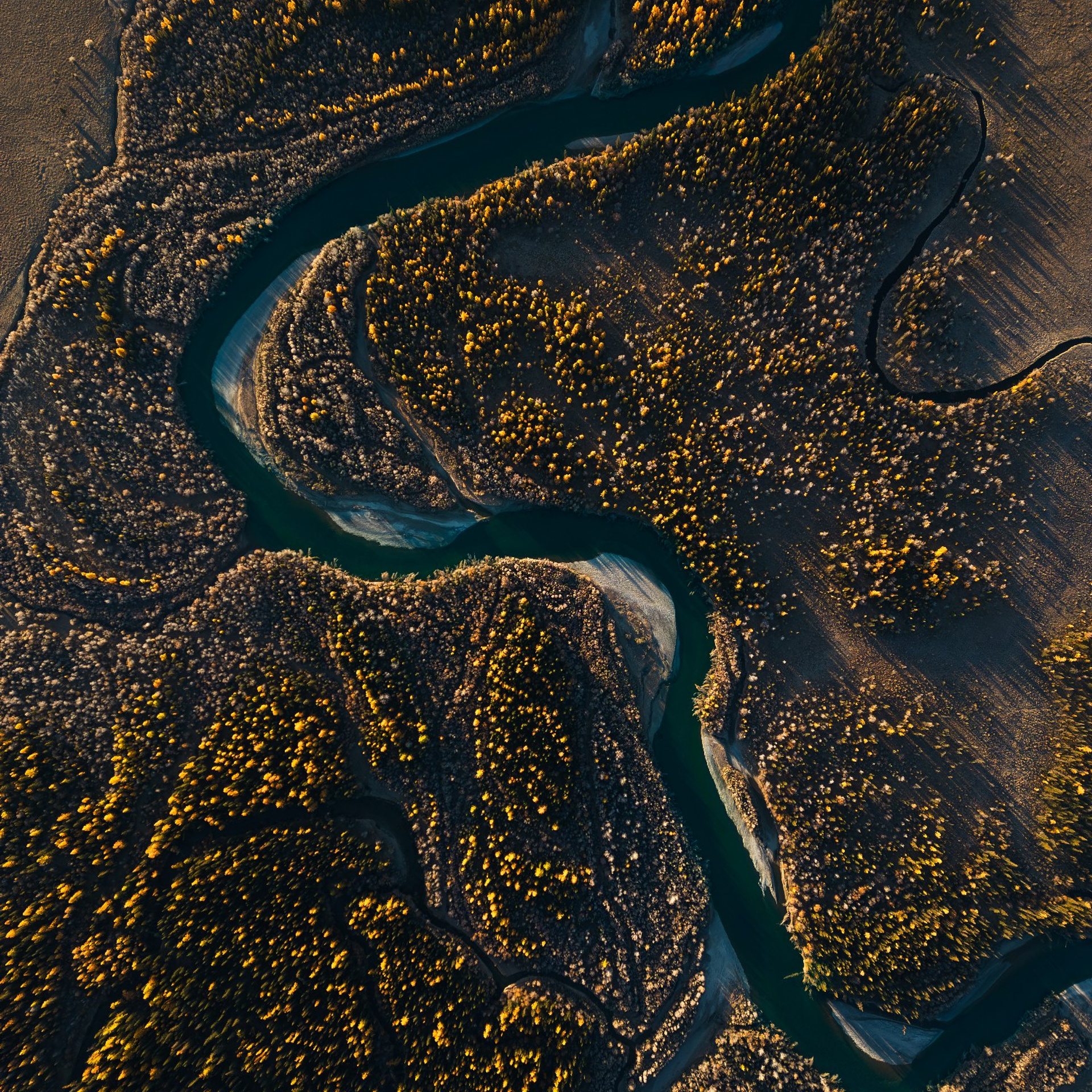 Фототур «Осенний Алтай» (20.09 — 29.09.24). Фотограф Константин Шамин