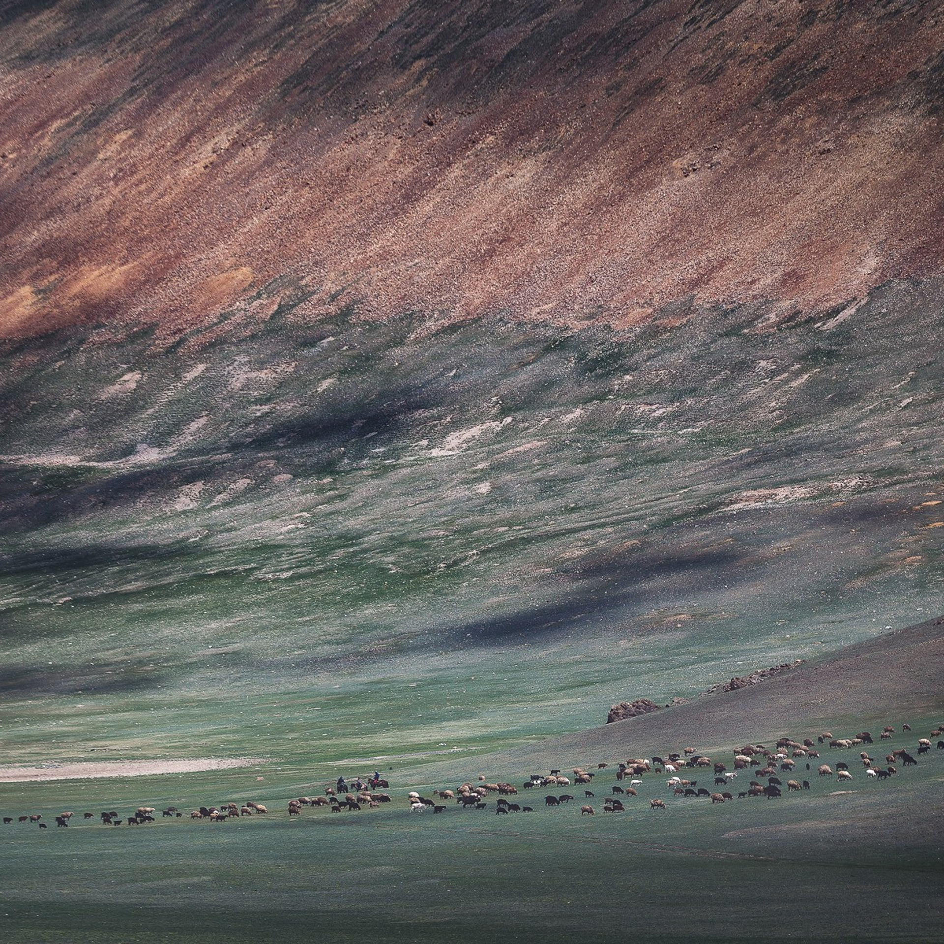 Экспедиция в пустыню Гоби (30.04.2023 — 08.05.2023 ). Фотограф Константин Шамин