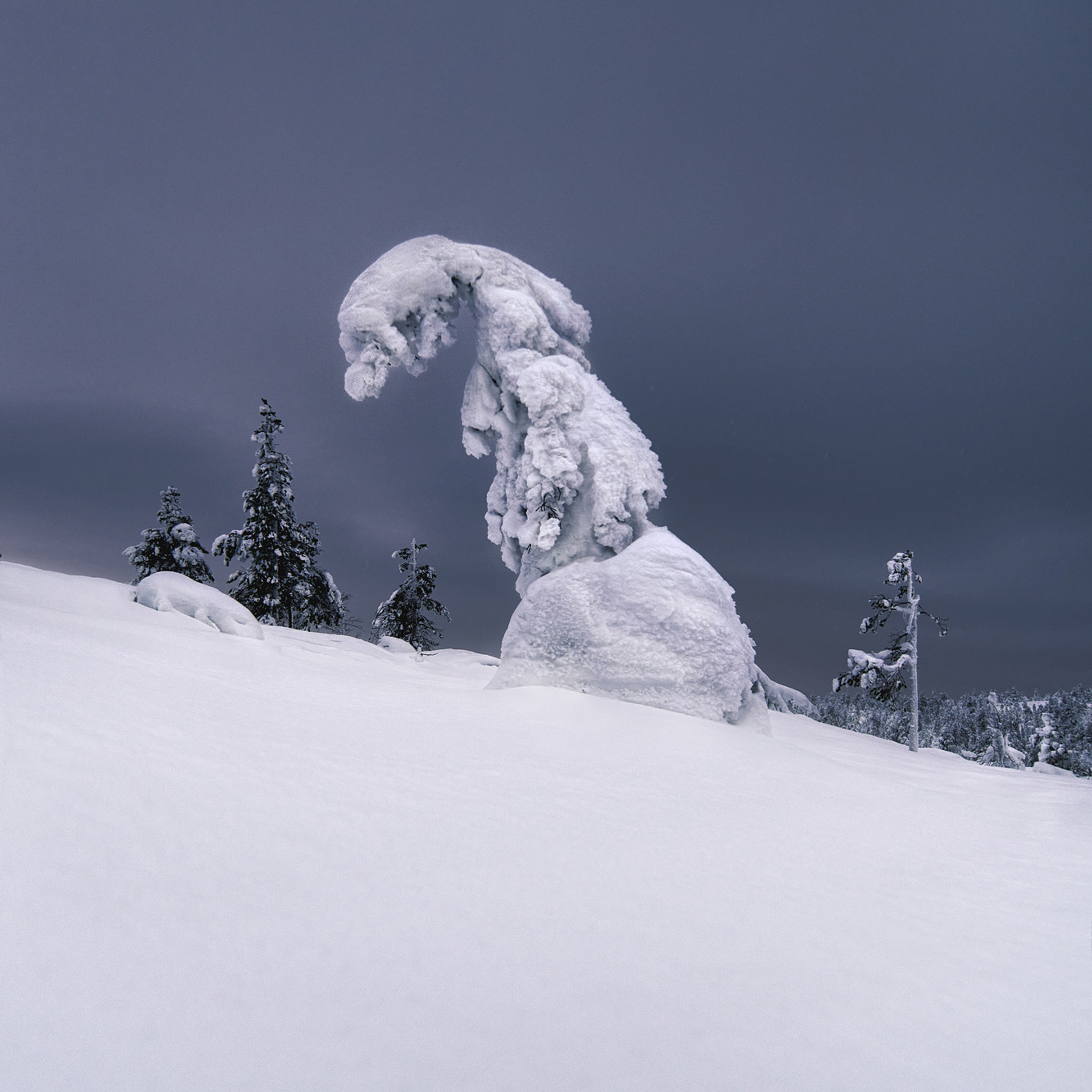 Фототур «Зимние краски Кольского» (25.02.23 — 04.03.23). Фотограф Константин Шамин