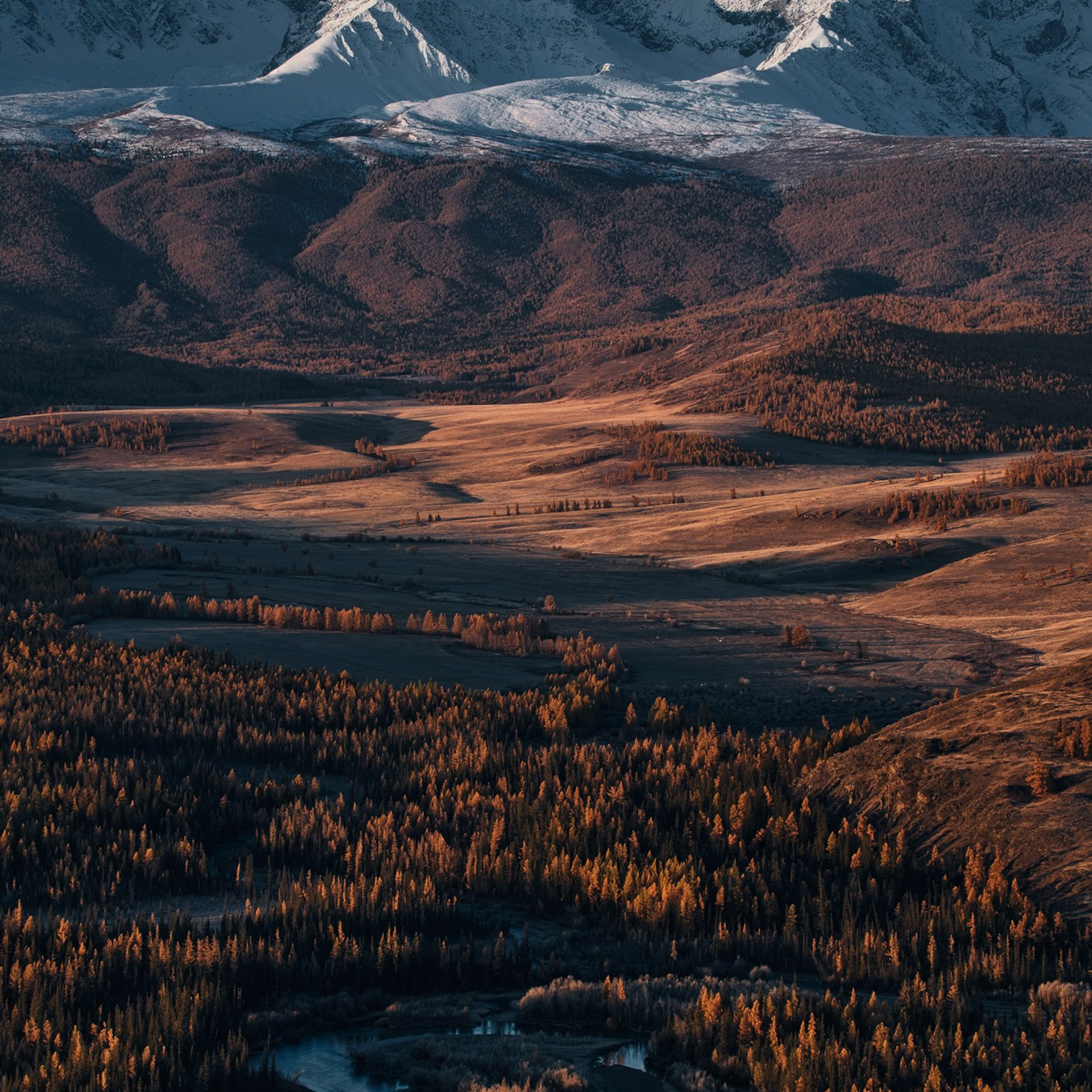 Фототур «Осенний Алтай» (20.09 — 29.09.24). Фотограф Константин Шамин