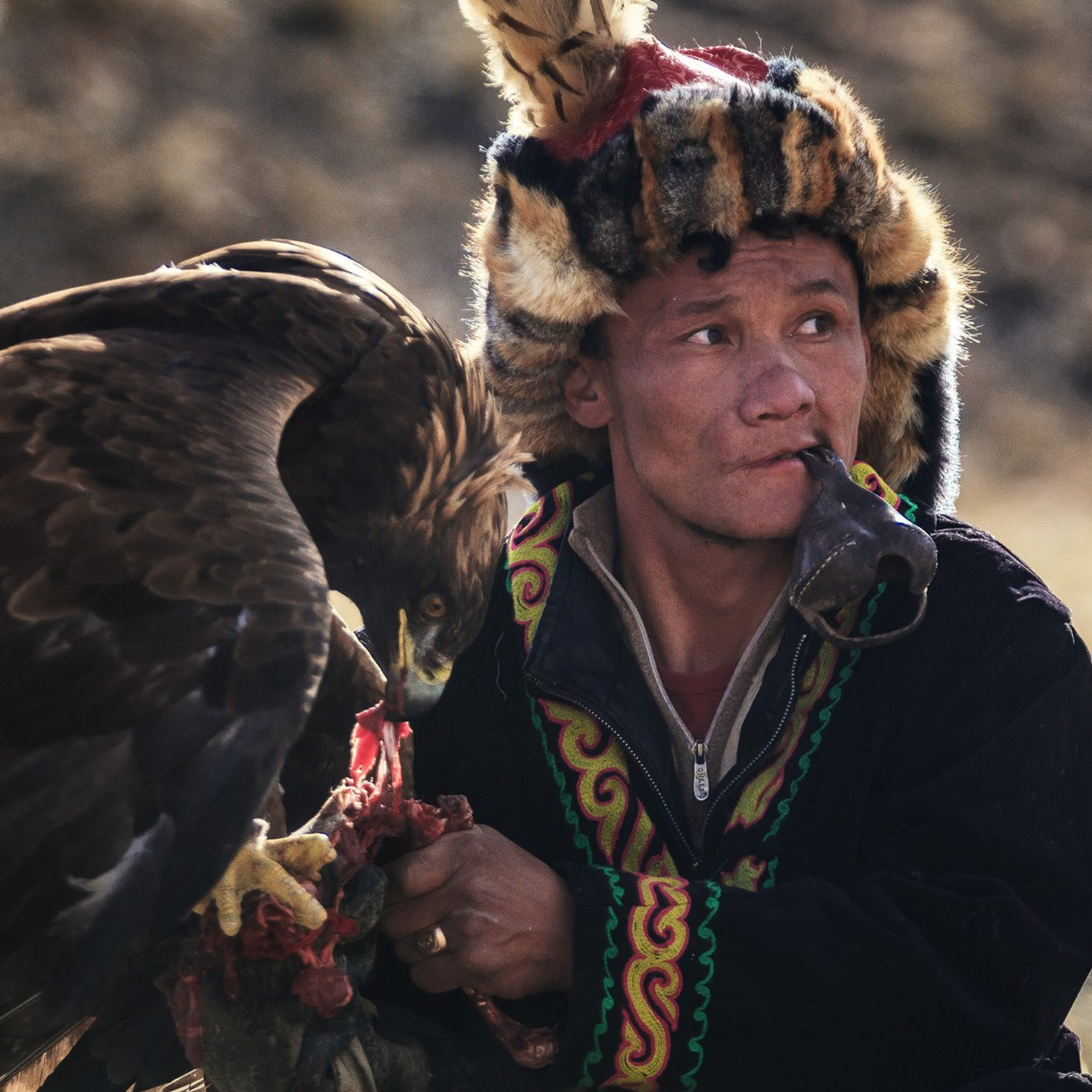 Фестиваль Беркутчи — Осень на Алтае. Фотограф Константин Шамин