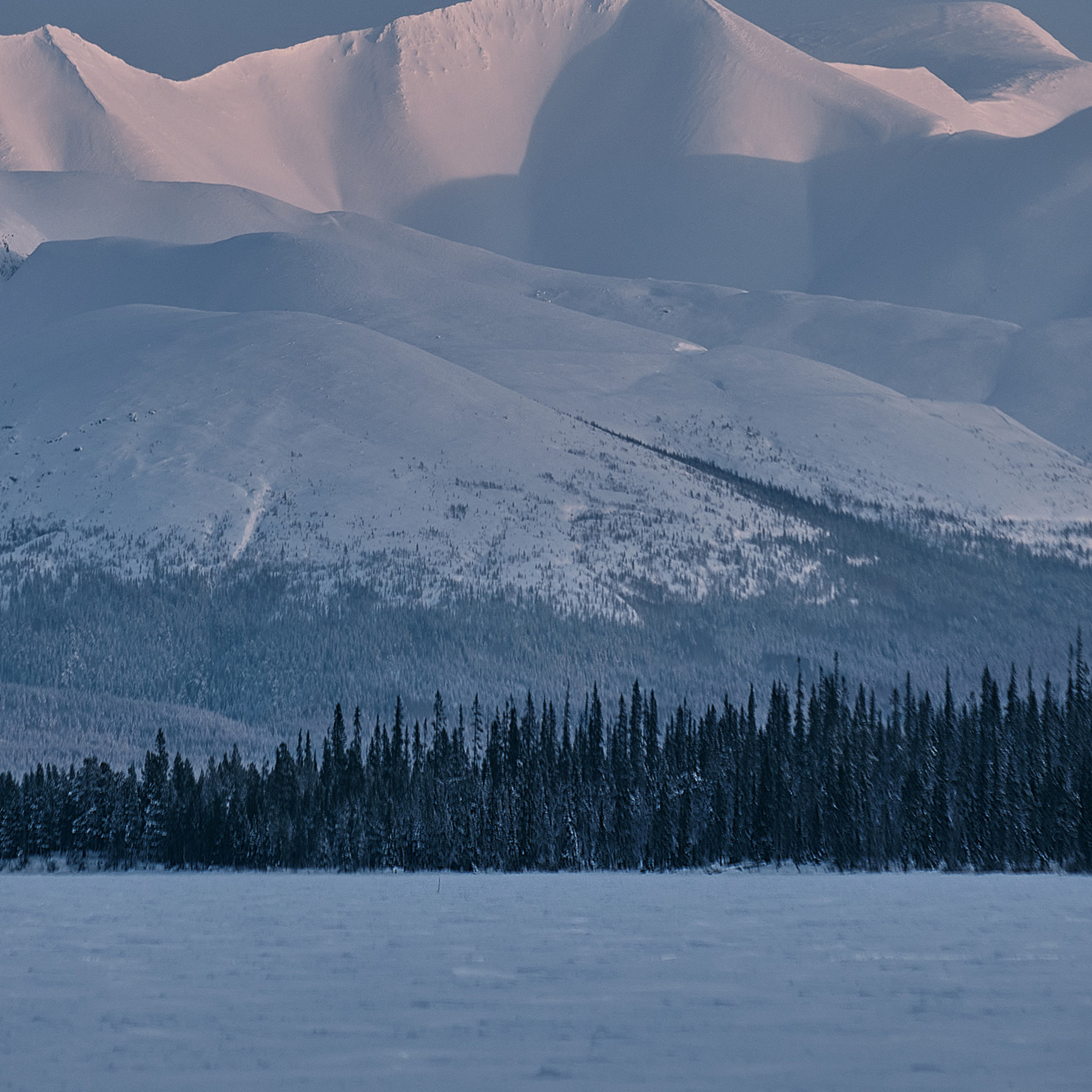 Фототур «Зимние краски Кольского» (25.02.23 — 04.03.23). Фотограф Константин Шамин