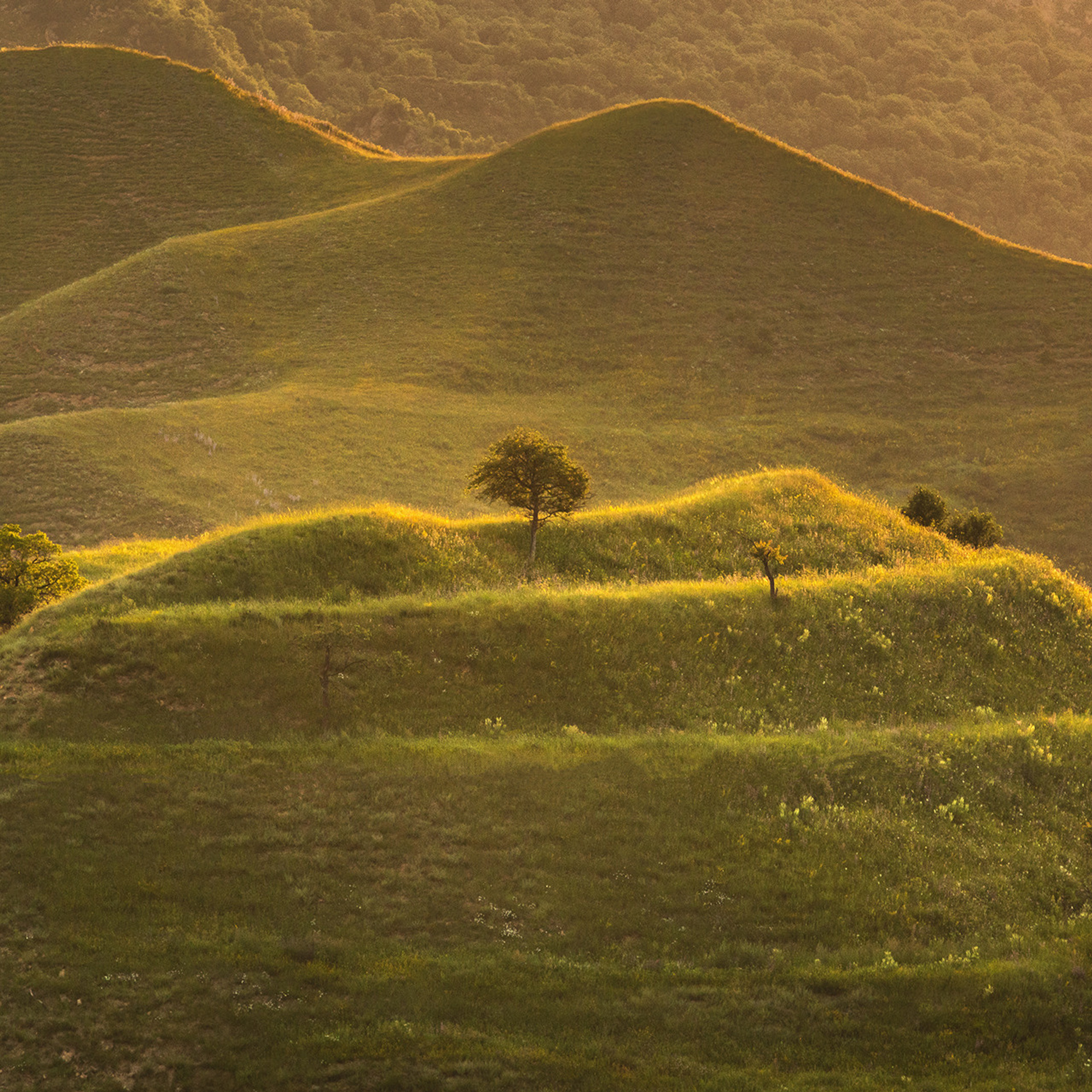 Фототур в Дагестан (31.10.2022 — 06.11.2022). Фотограф Константин Шамин