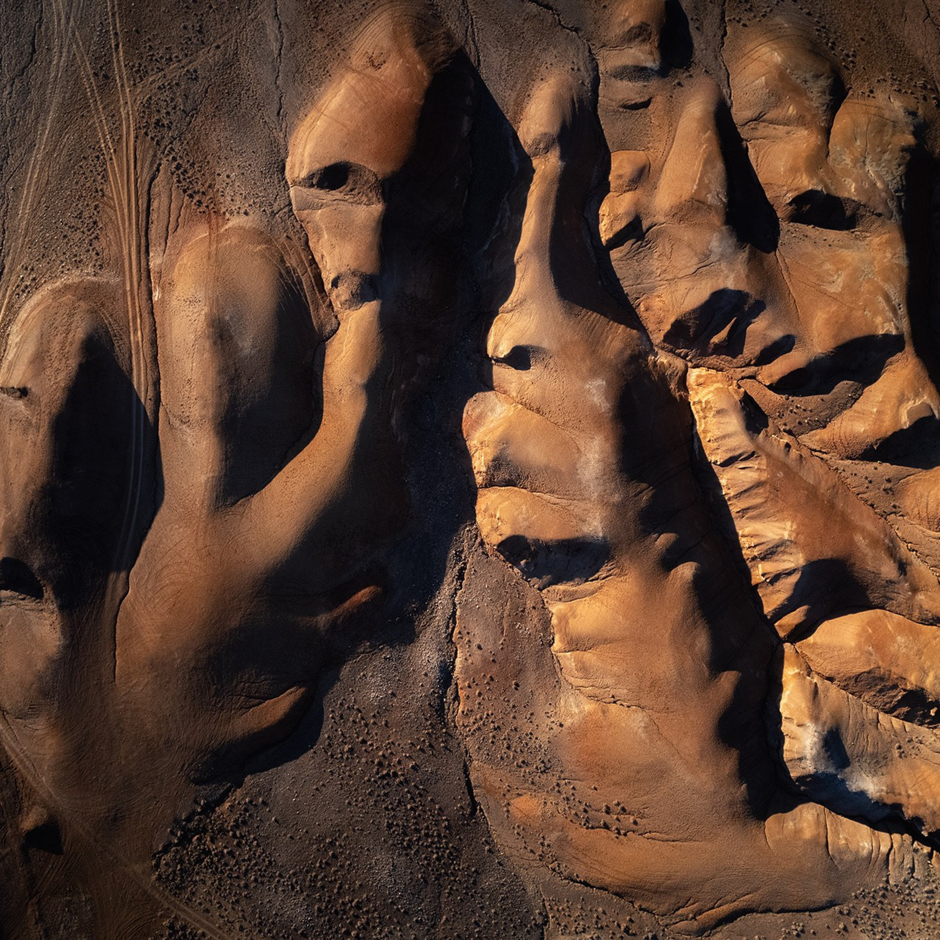 Фестиваль Беркутчи — Осень на Алтае. Фотограф Константин Шамин