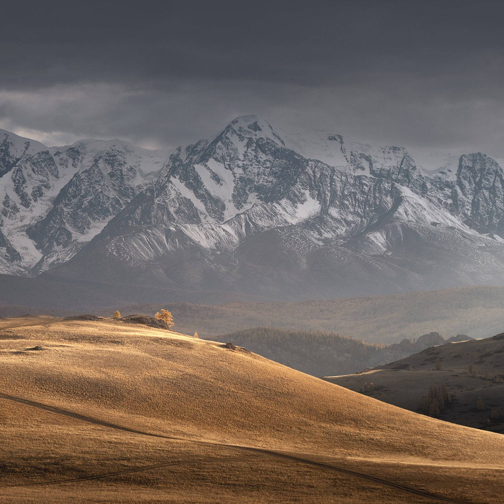 Фестиваль Беркутчи — Осень на Алтае. Фотограф Константин Шамин