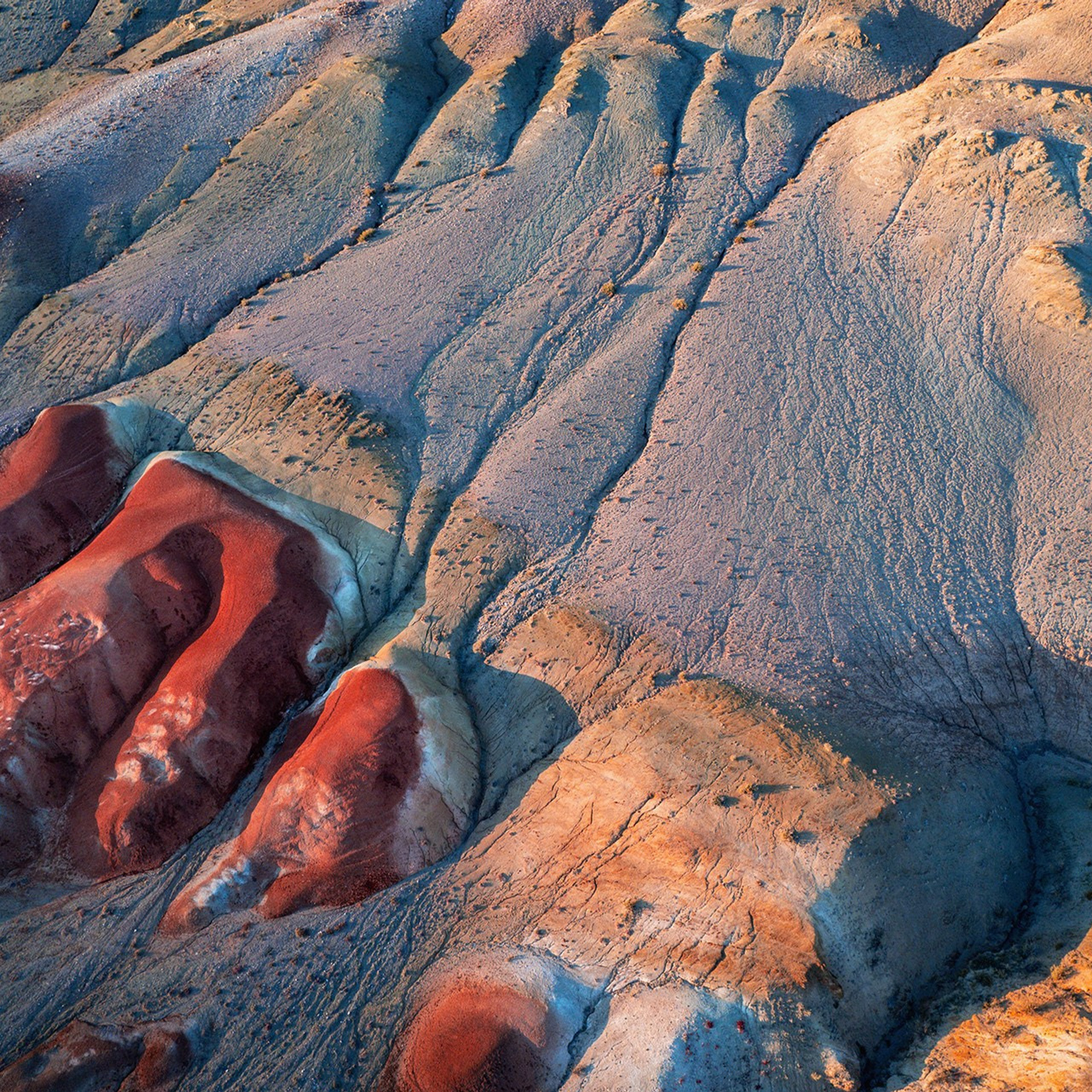 Фестиваль Беркутчи — Осень на Алтае. Фотограф Константин Шамин