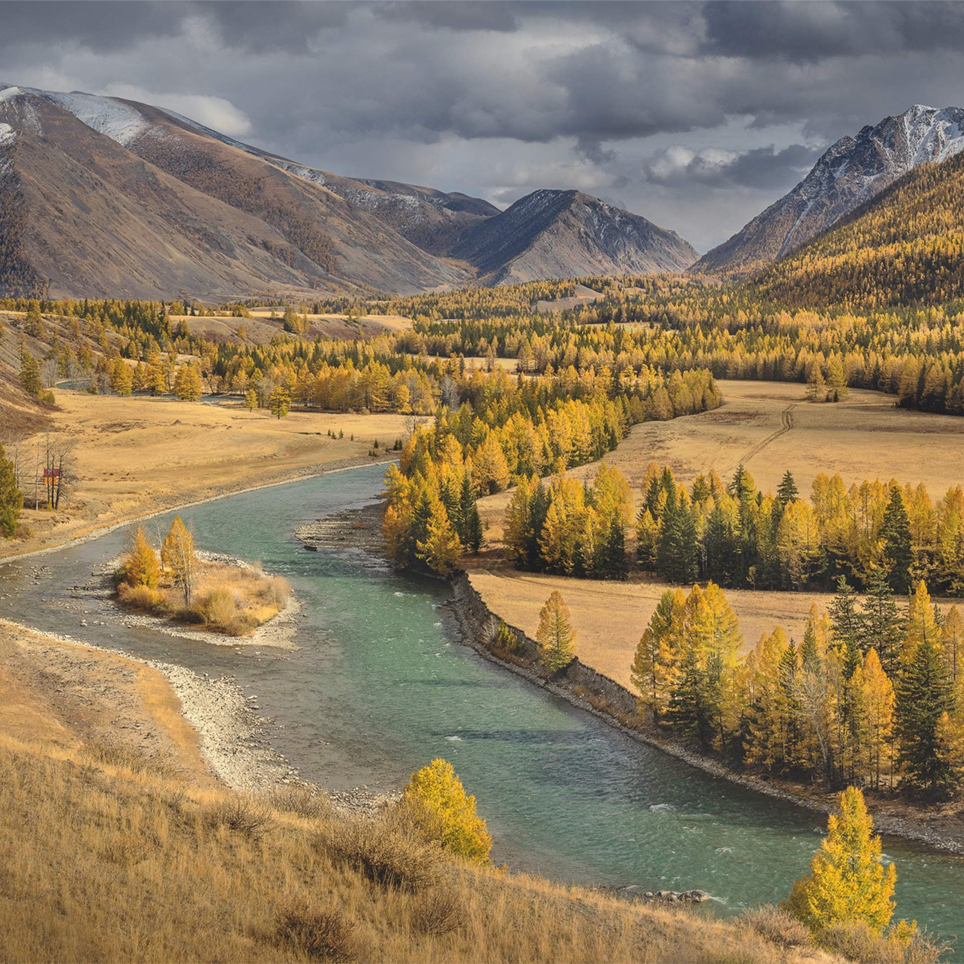 Фестиваль Беркутчи — Осень на Алтае. Фотограф Константин Шамин