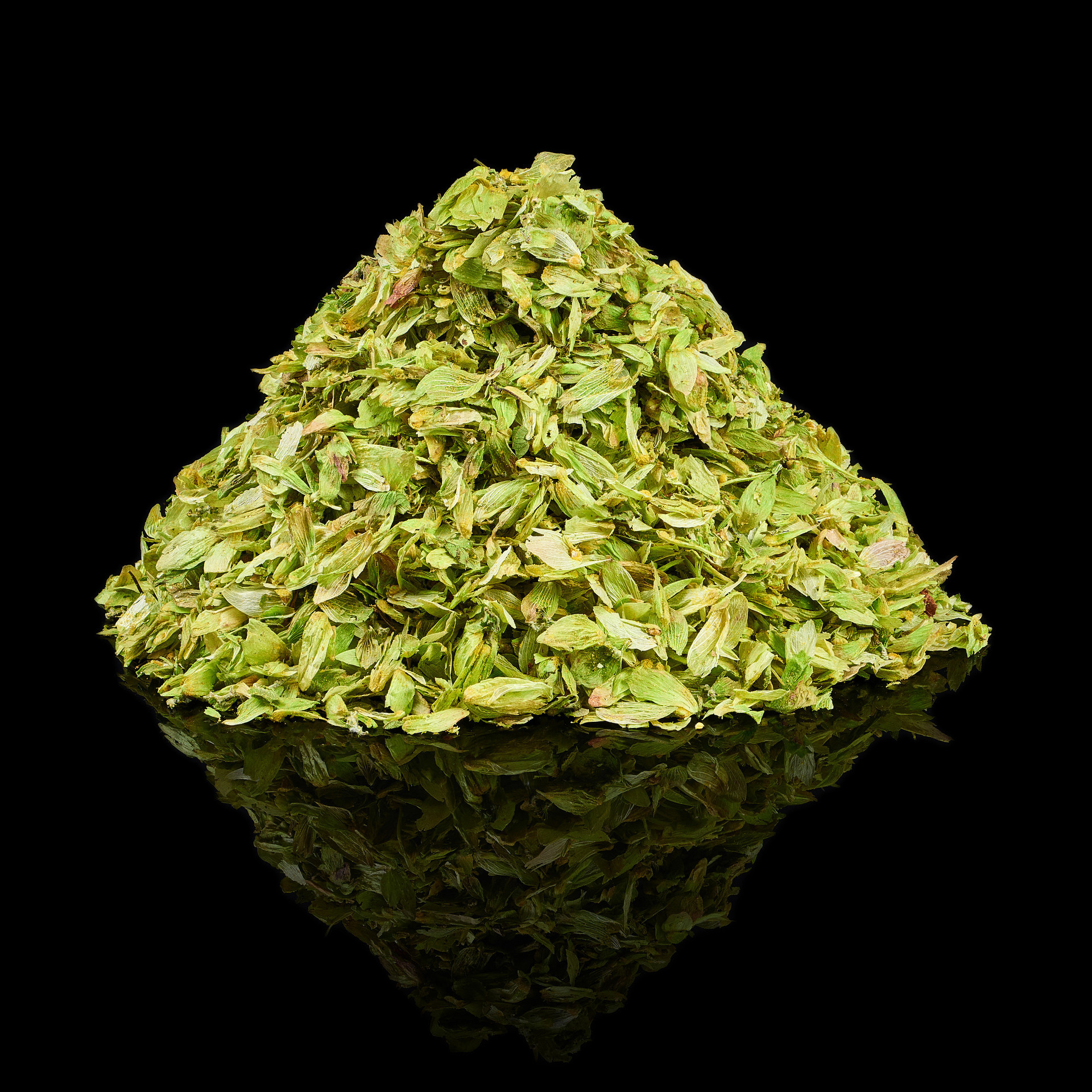 Отзывы. Рекламная фотография. Обучение фотографии. Фотограф Жан Гаспарян