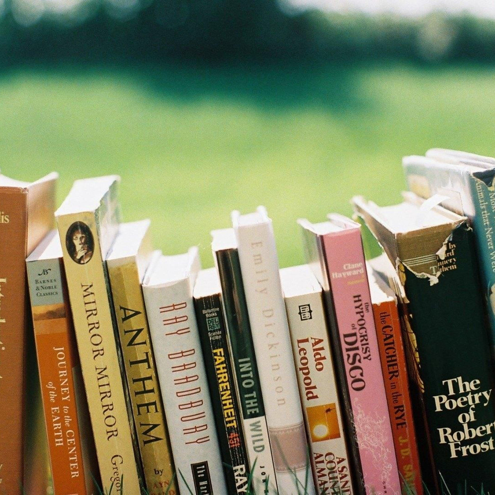 Раннее развитие в мини-группах в коммунарке. Развиватория — детский центр развития и творчества в Коммунарке