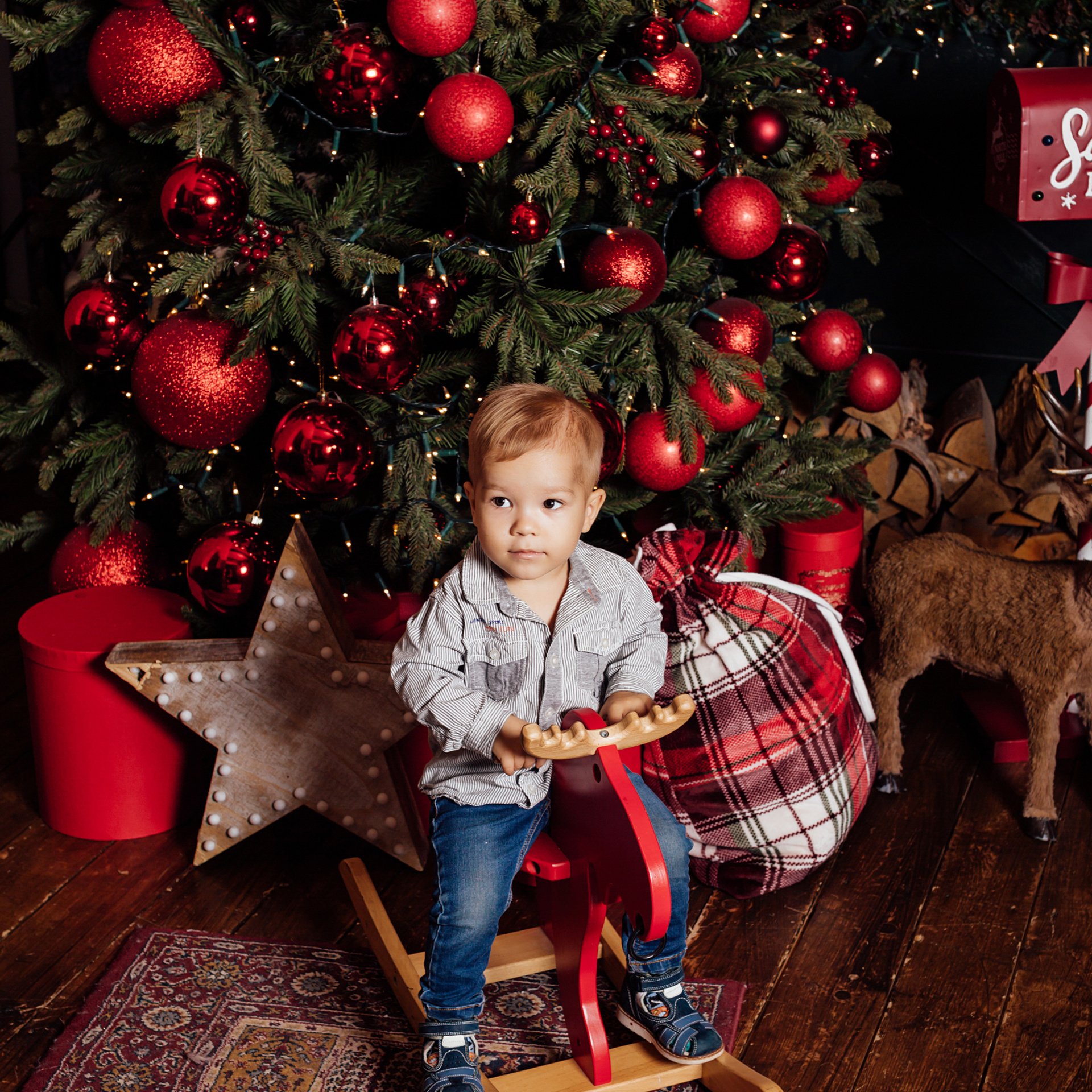 Новогодняя сказка в Калининграде