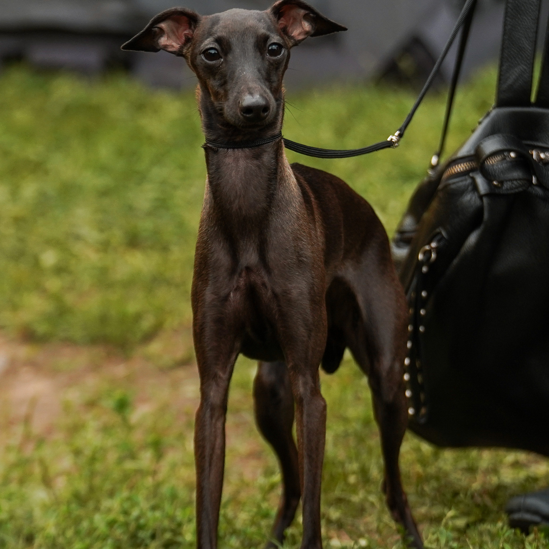 Выставки «СТОЛИЦА» и  «Лидер и Престиж» 23.07.2023