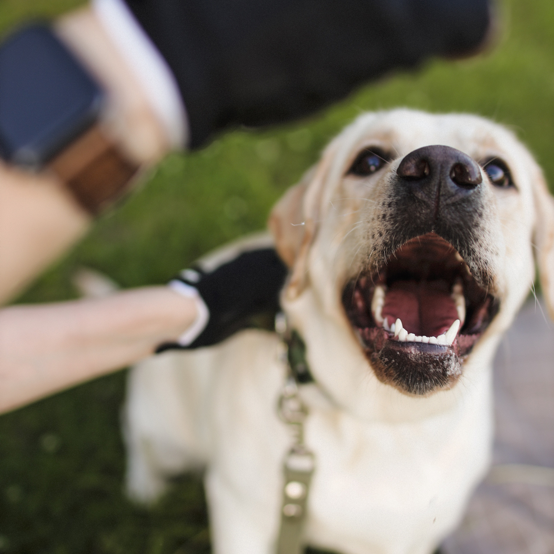 Отзывы. Семейный фотограф в Тюмени | Алёна Снопкова