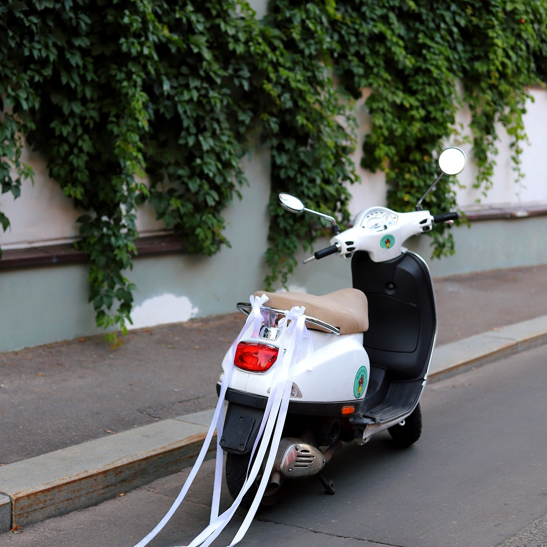 Алина и Ярослав. КОММЕРЧЕСКИЙ ФОТОГРАФ Ksana