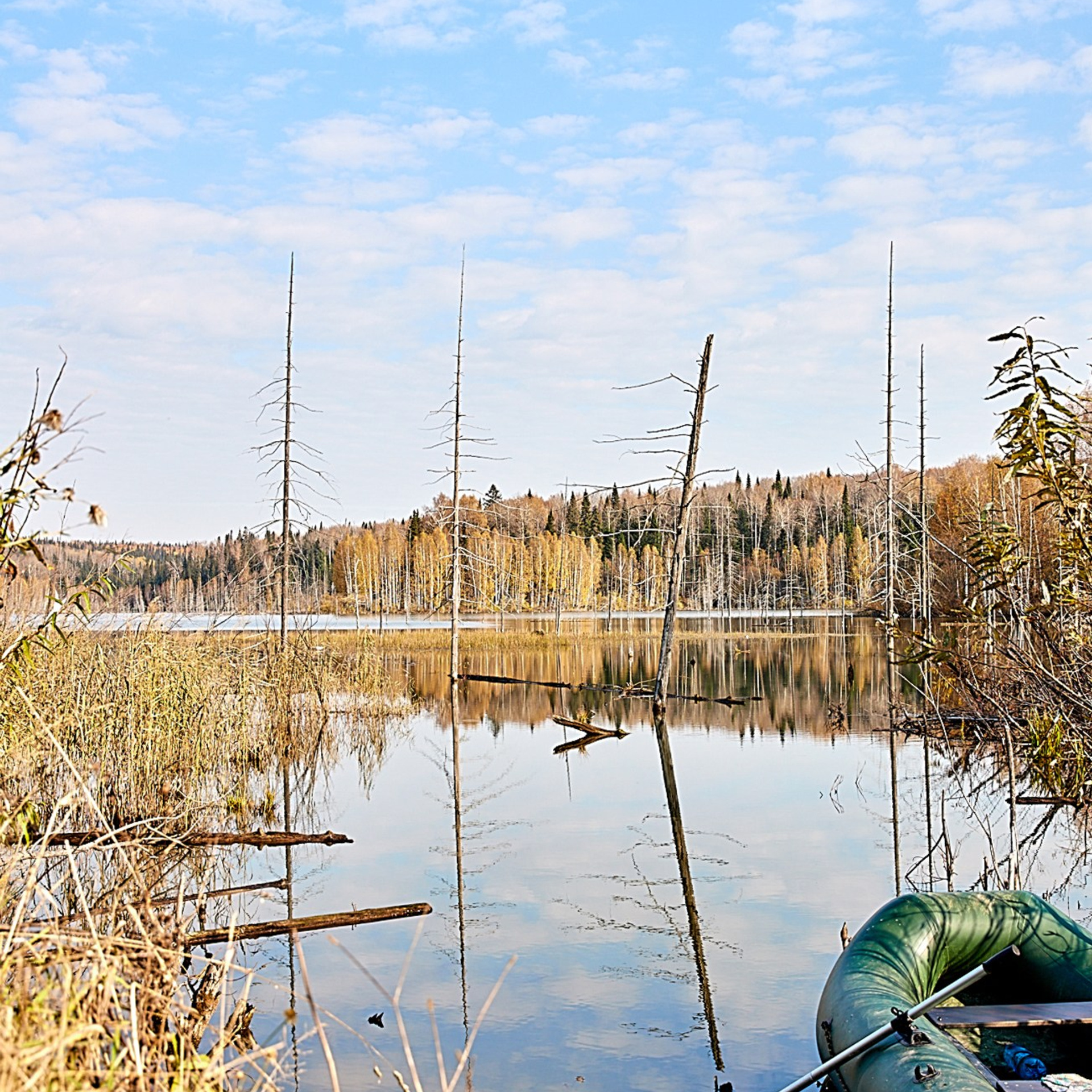 Любовь Гальцова — свадебный, семейный, детский фотограф в городе Кемерово и Кемеровской области