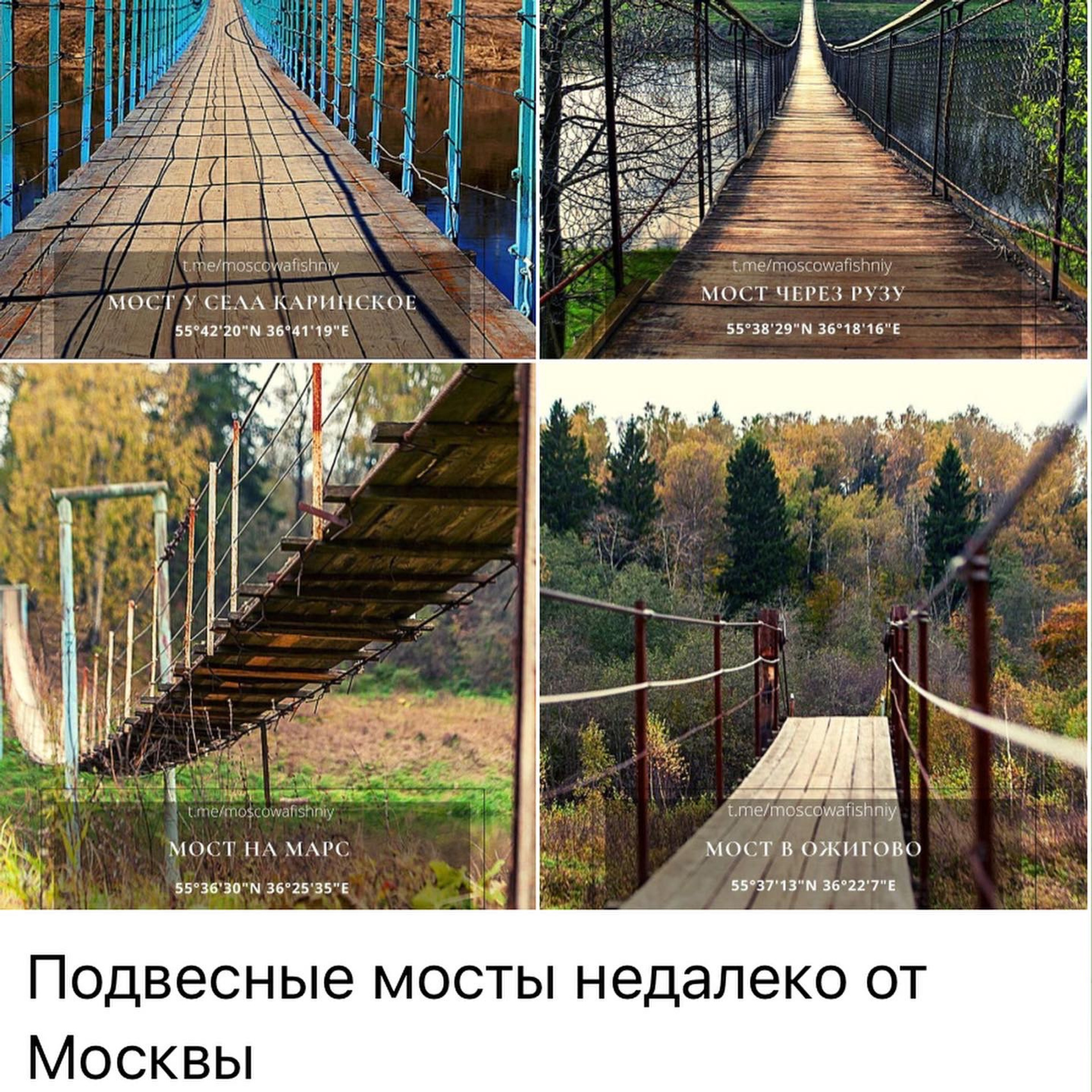 Места для осенних фотопрогулок. Дарья Бухреева — фотограф, видеограф и фототерапевт. Москва и мир